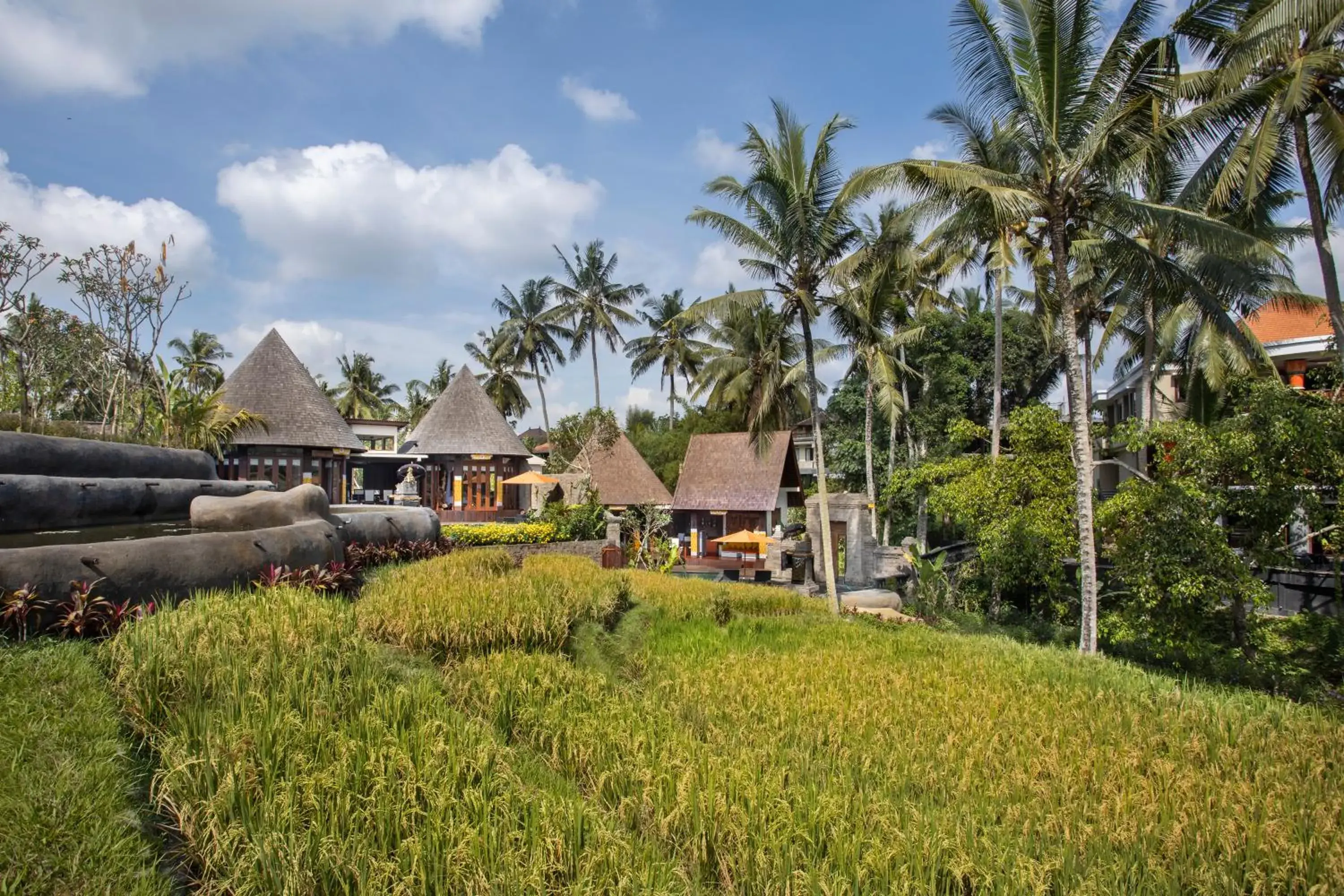 Two-Bedroom Signature Villa with Private Pool and Rice Paddy View in Green Field Resort Ubud Two-Bedroom Signature Villa with Private Pool and Rice Paddy View in Green Field Resort Ubud