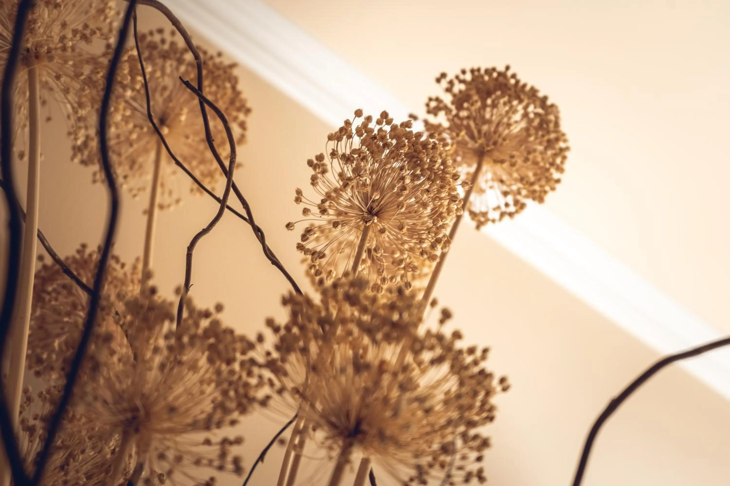 Hostal Los Castañuelos