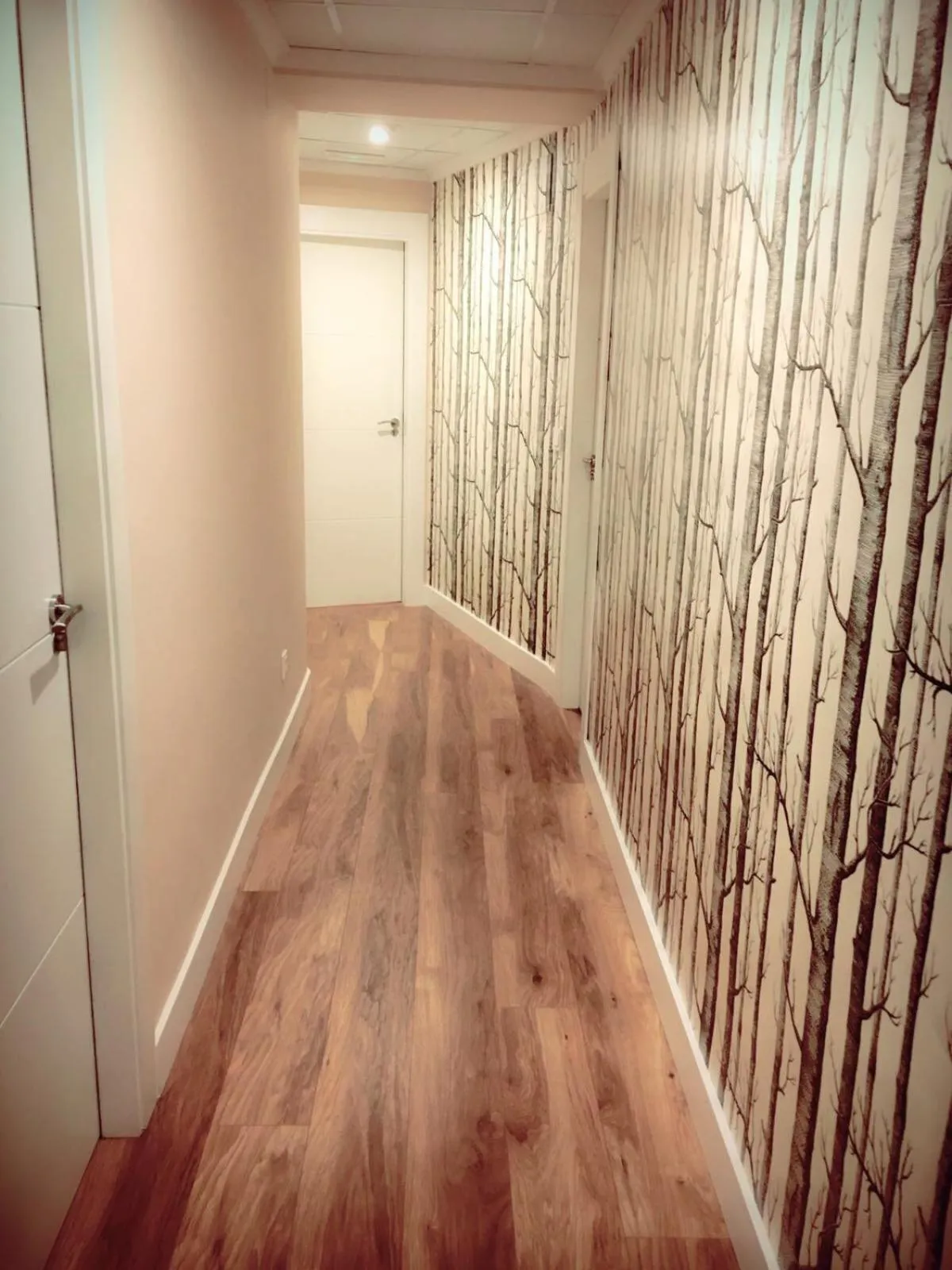 Other in Hostal Los Castañuelos