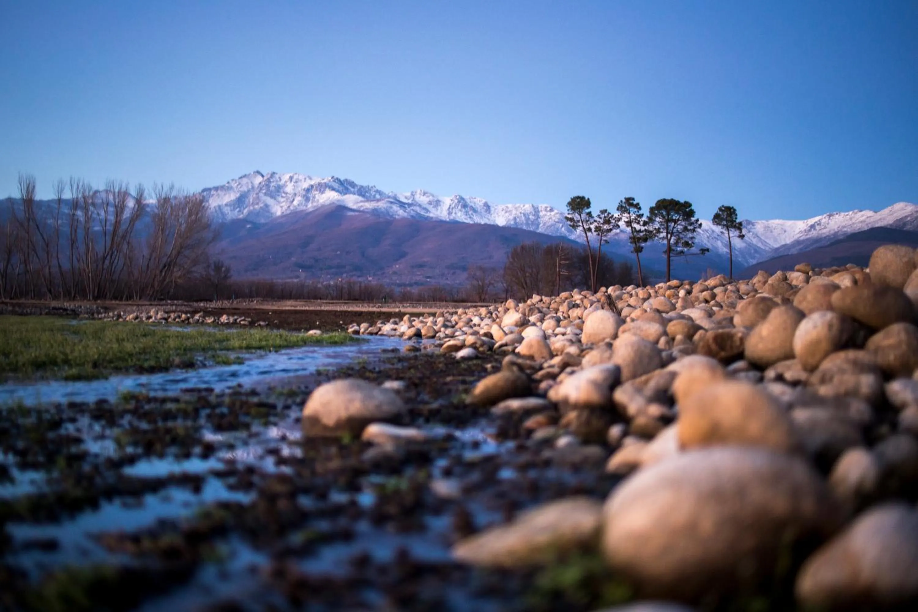 Hostal Los Castañuelos