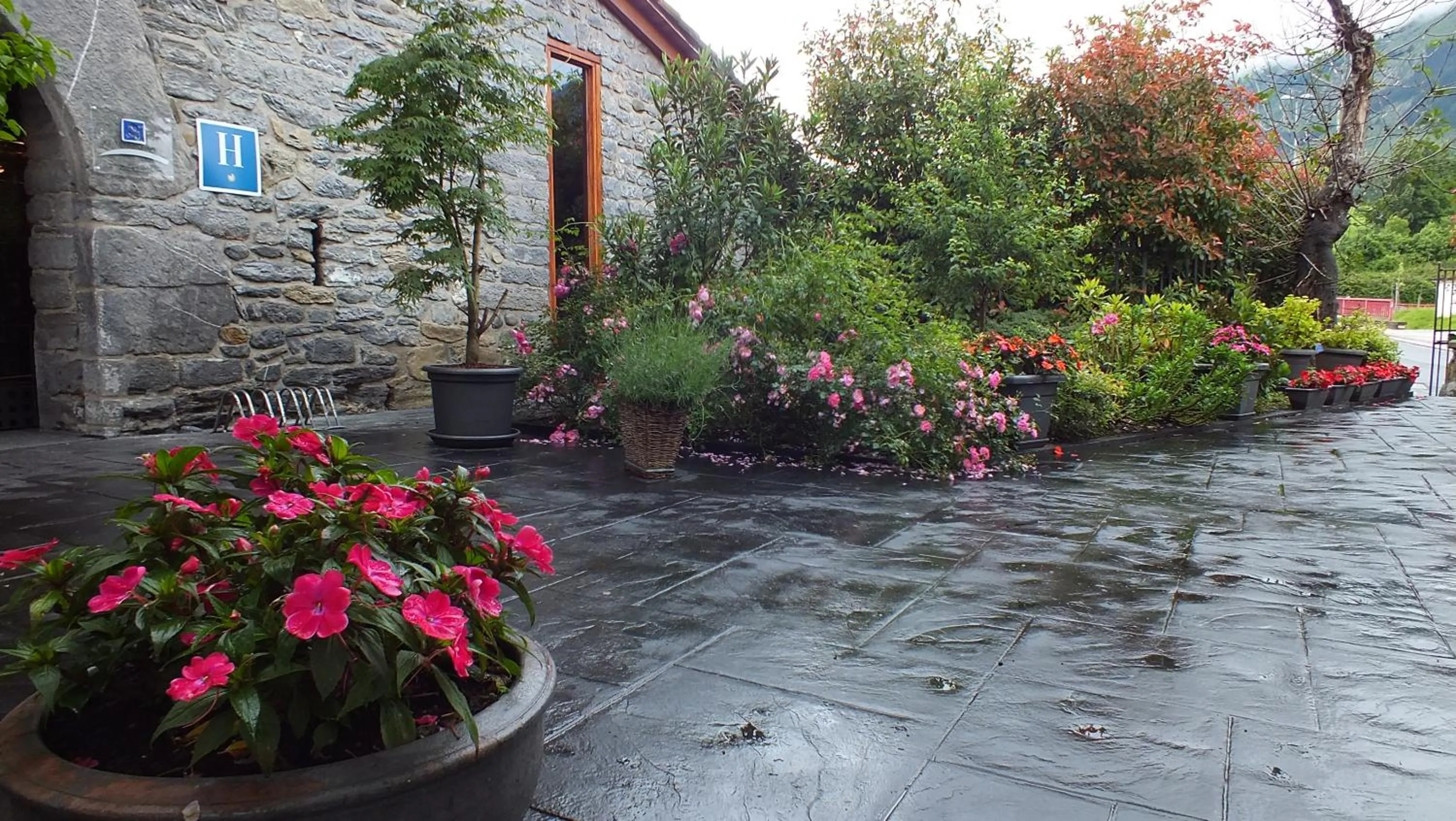 Off site in Larramendi Torrea