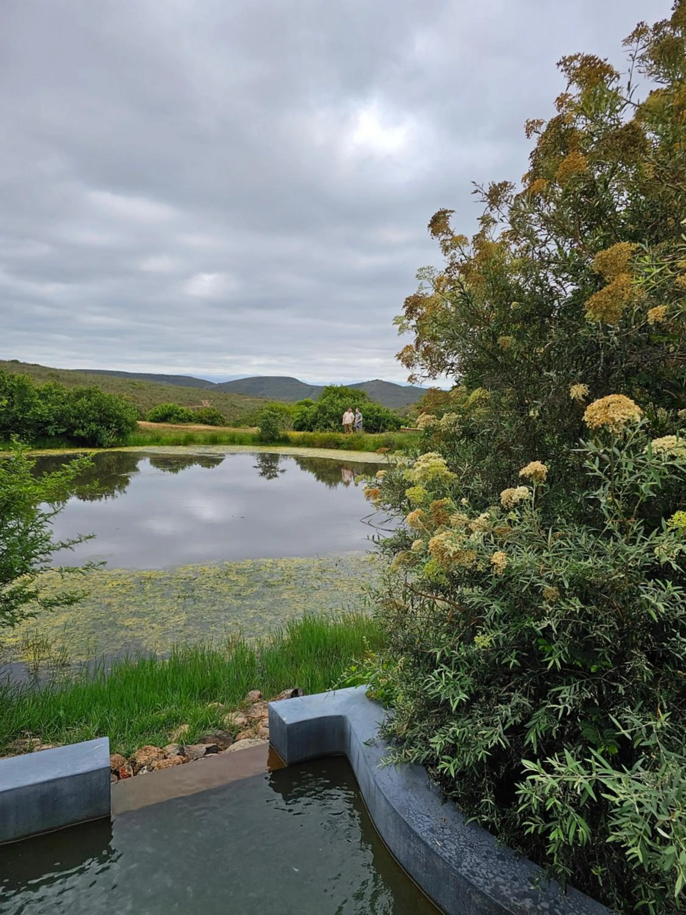 Day in Garden Route Safari Camp