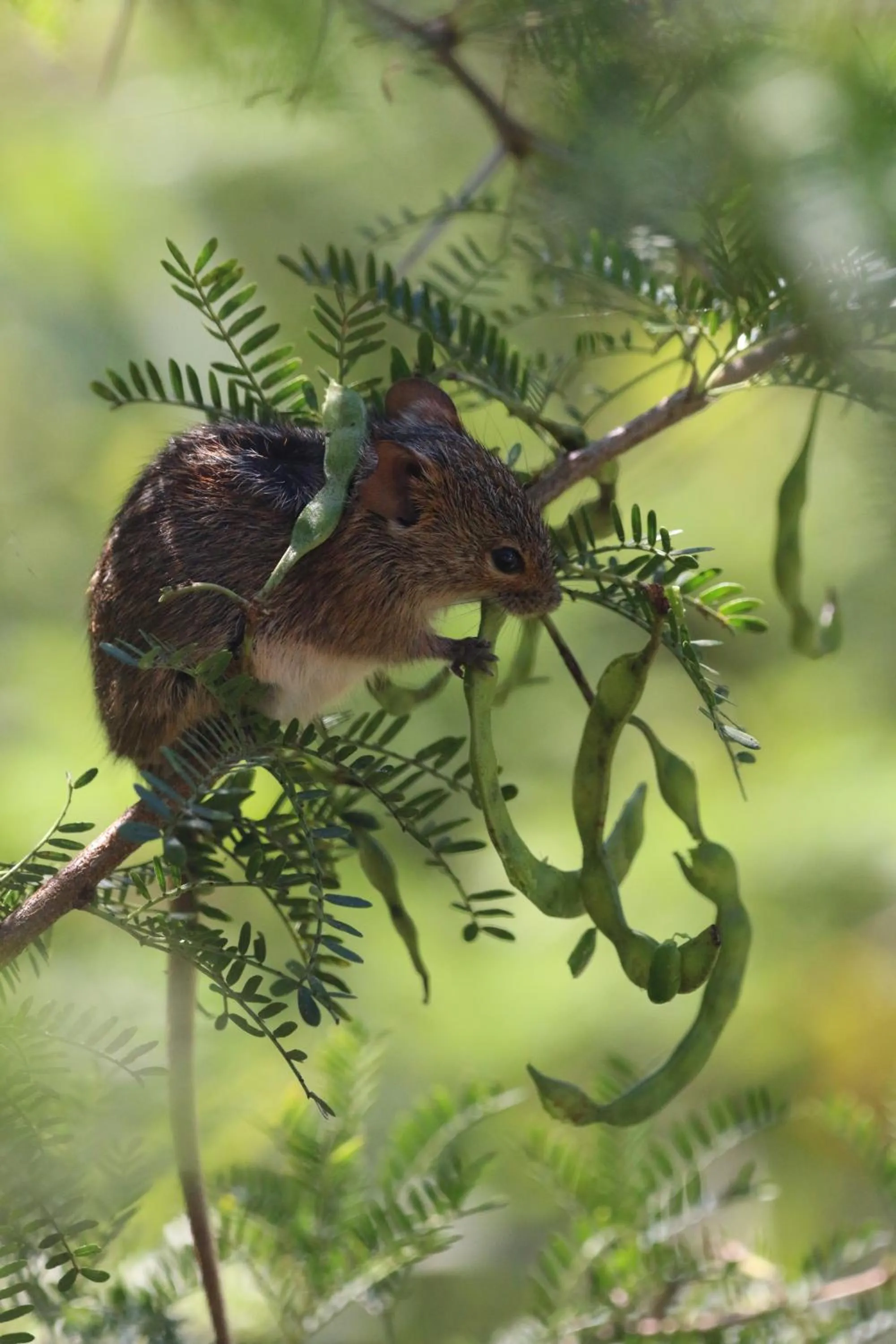 Day in Garden Route Safari Camp