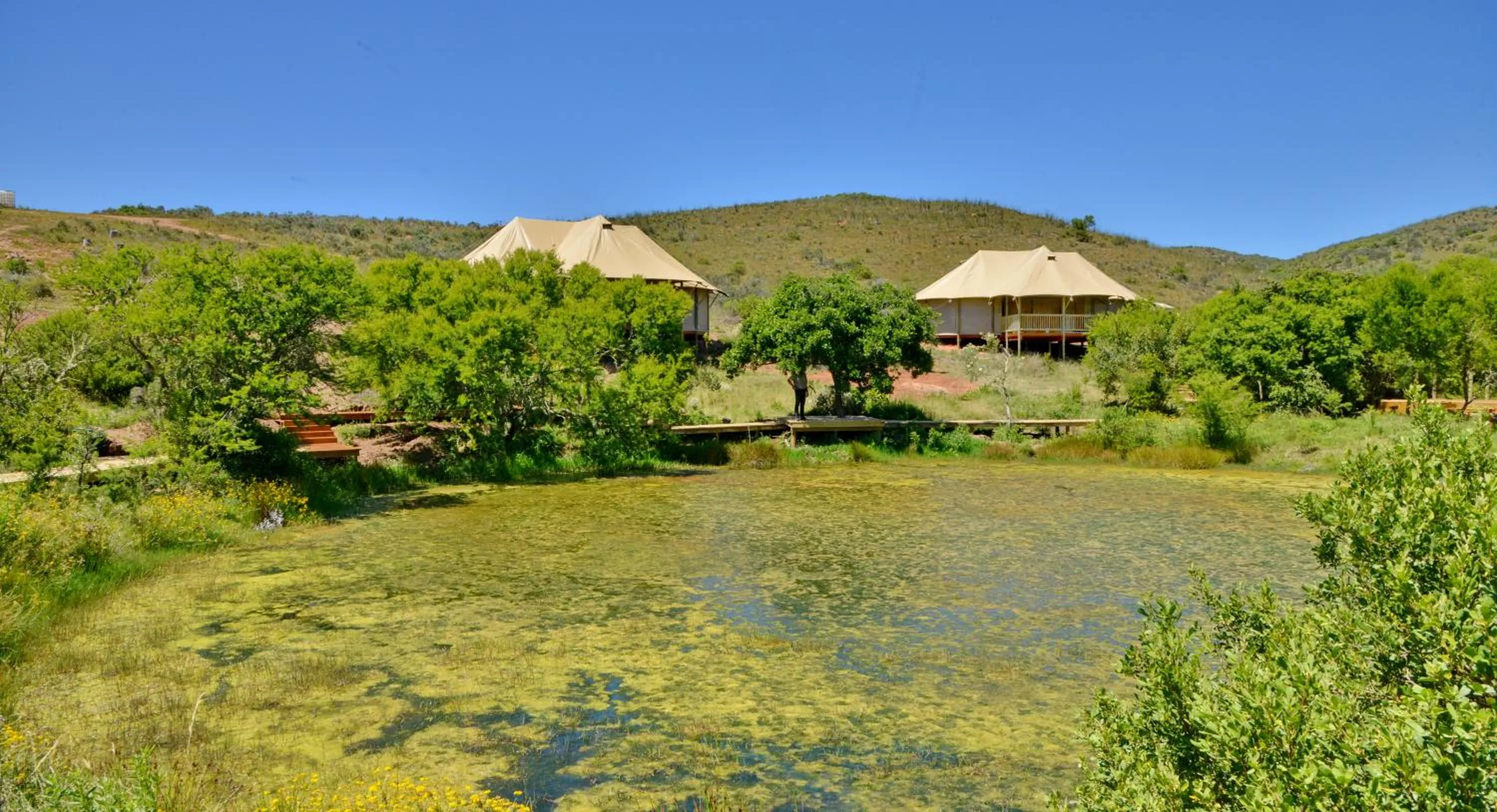 Garden Route Safari Camp