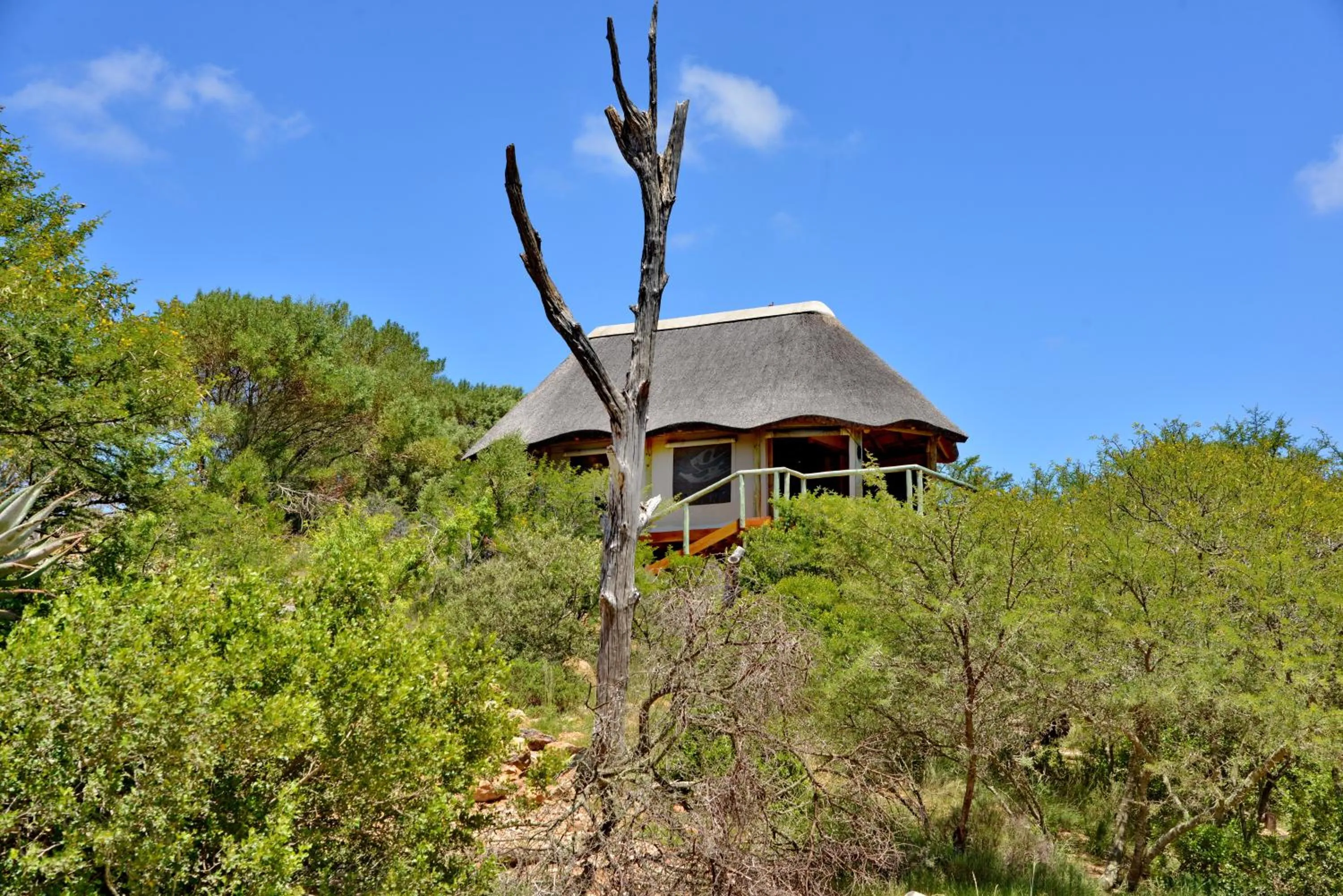 Garden Route Safari Camp