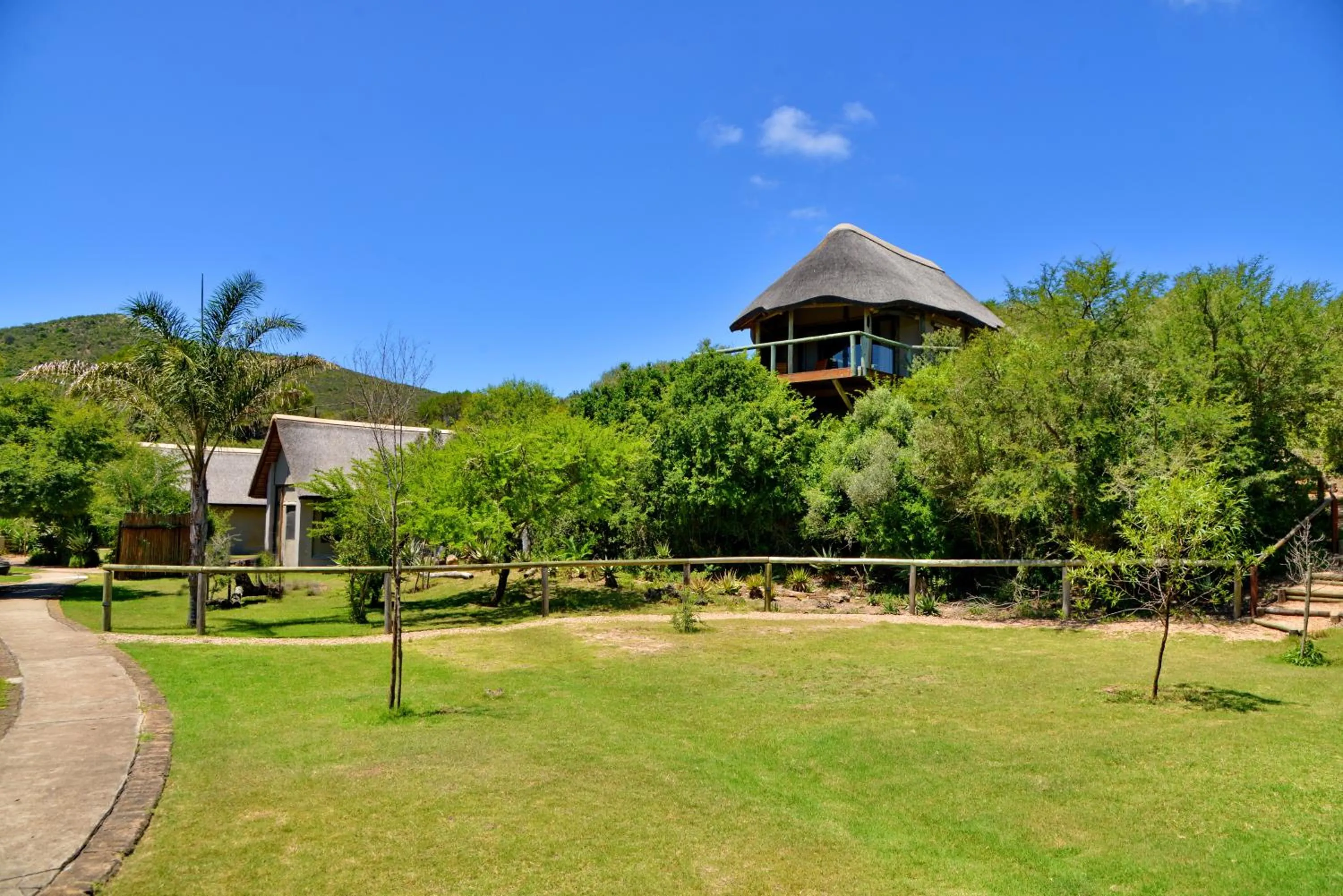 Garden Route Safari Camp