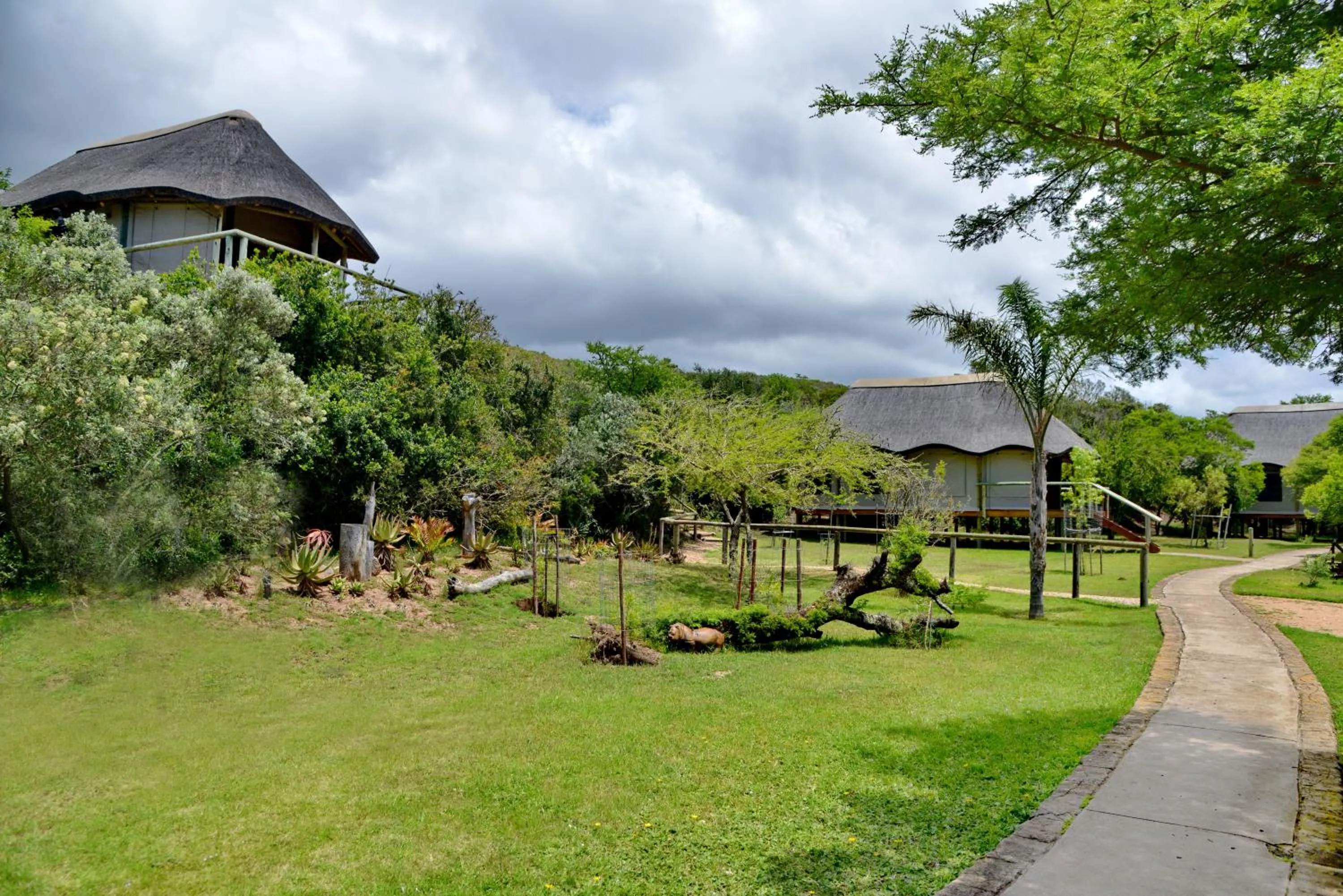 Day in Garden Route Safari Camp