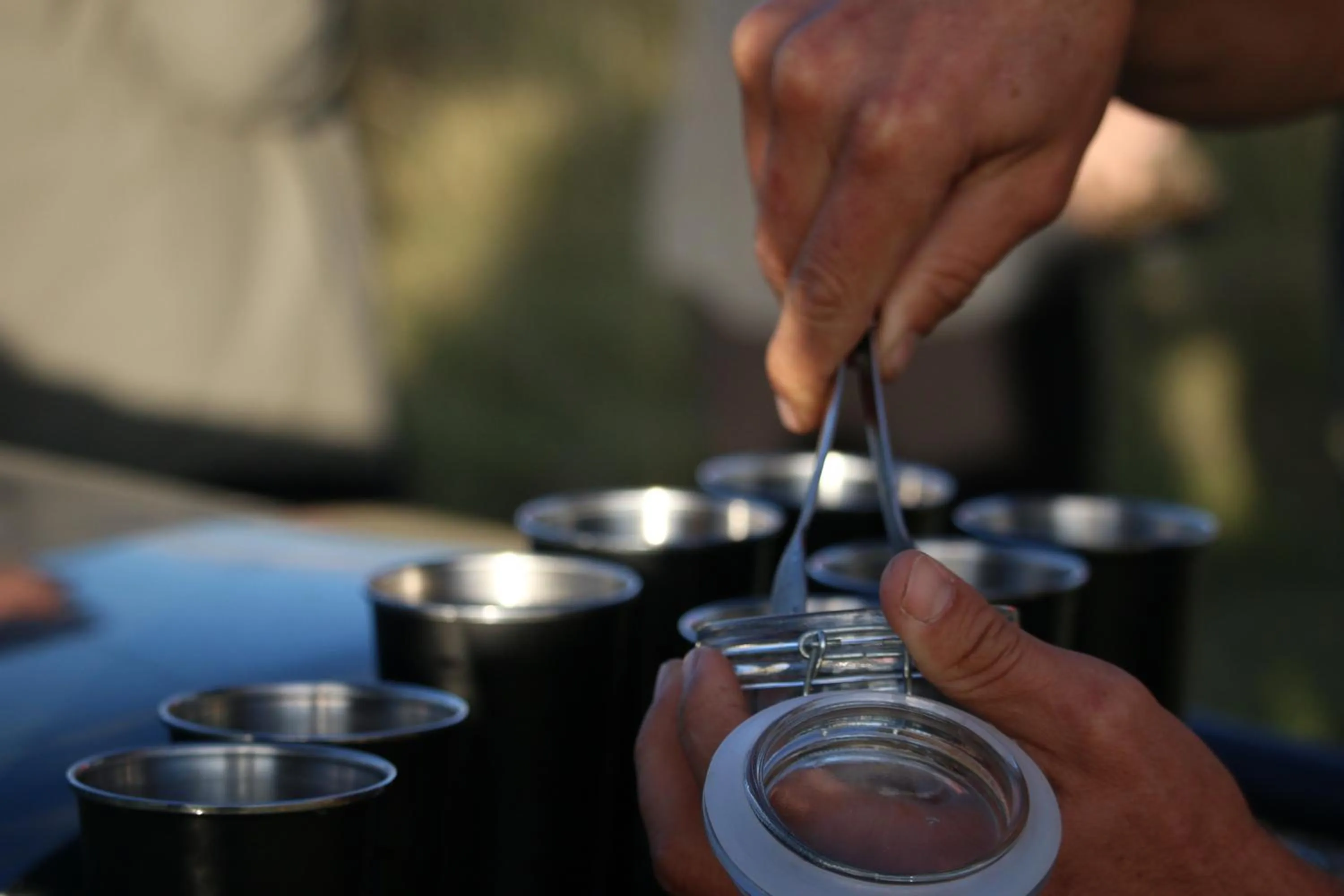 Garden Route Safari Camp