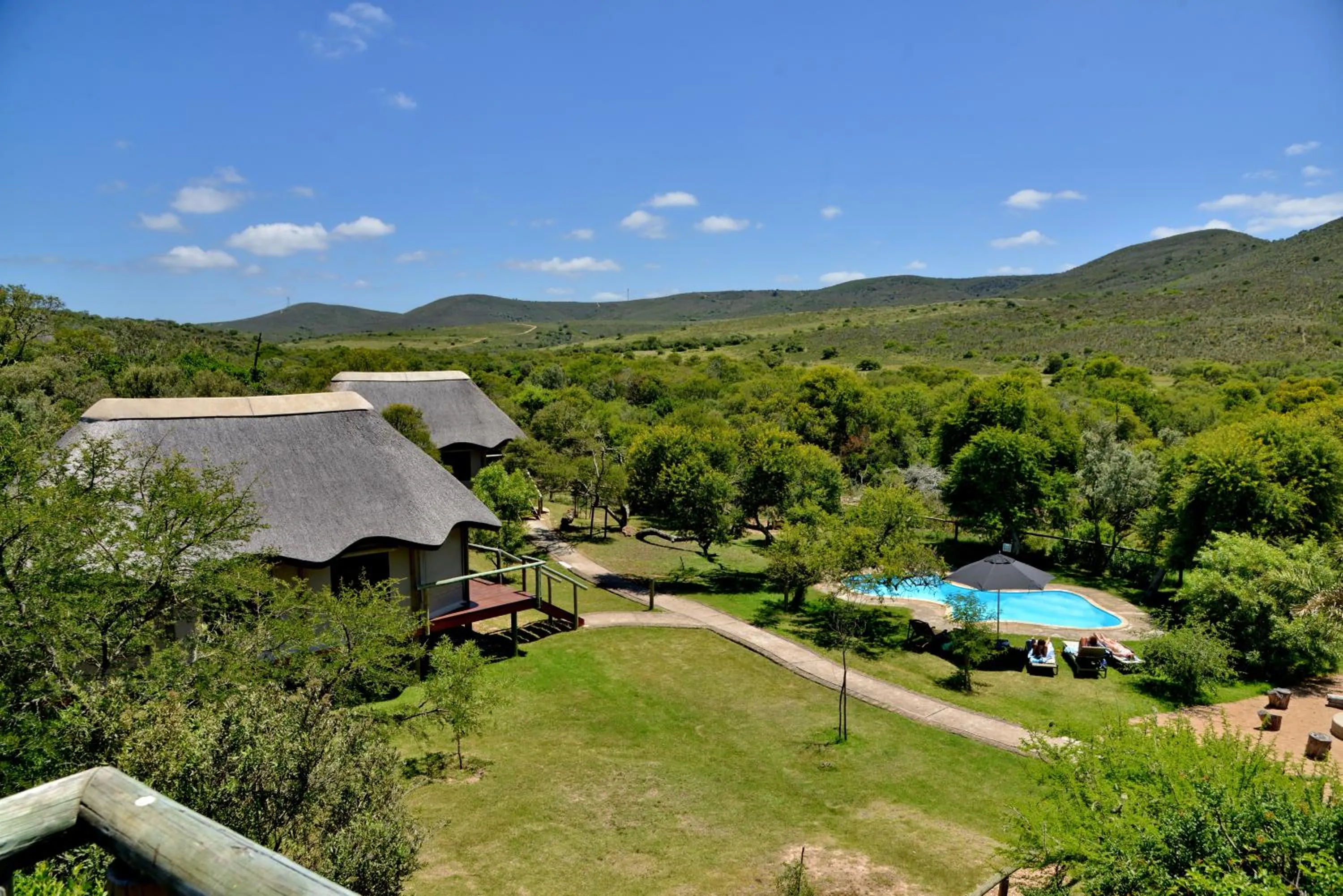 Day in Garden Route Safari Camp
