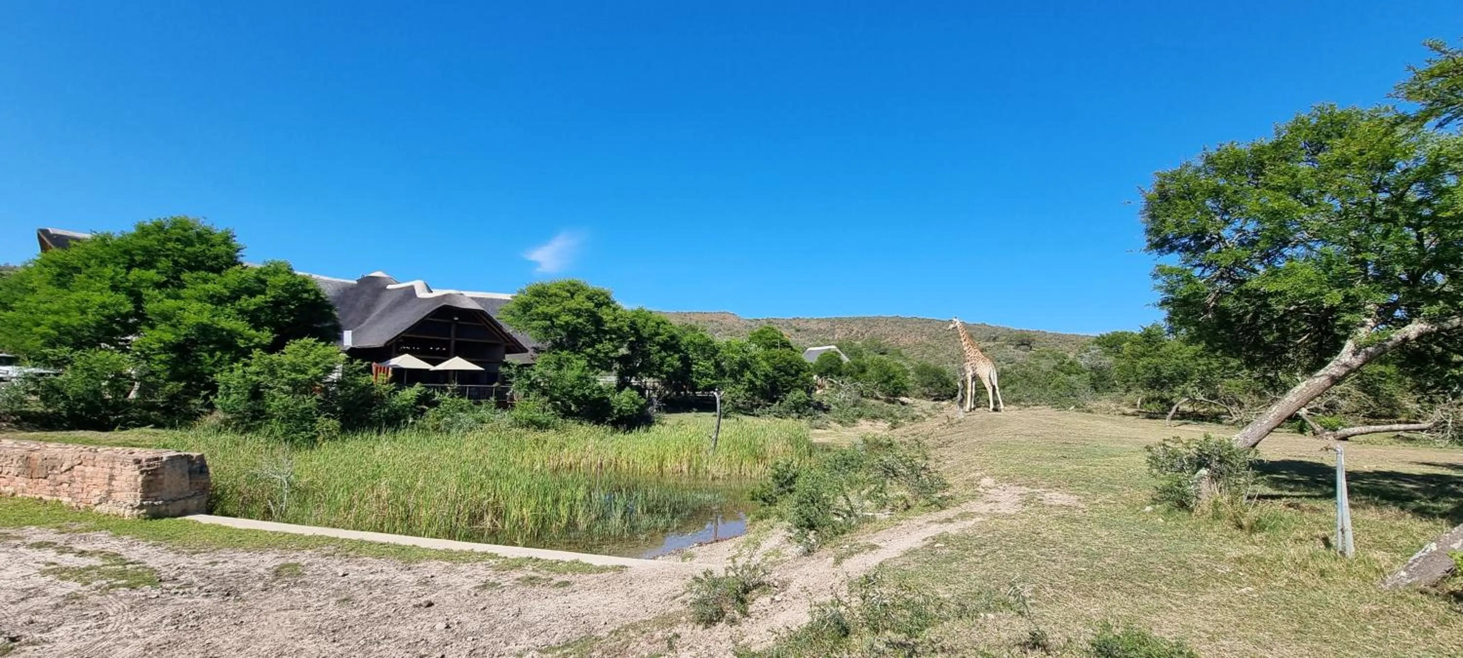 Day in Garden Route Safari Camp