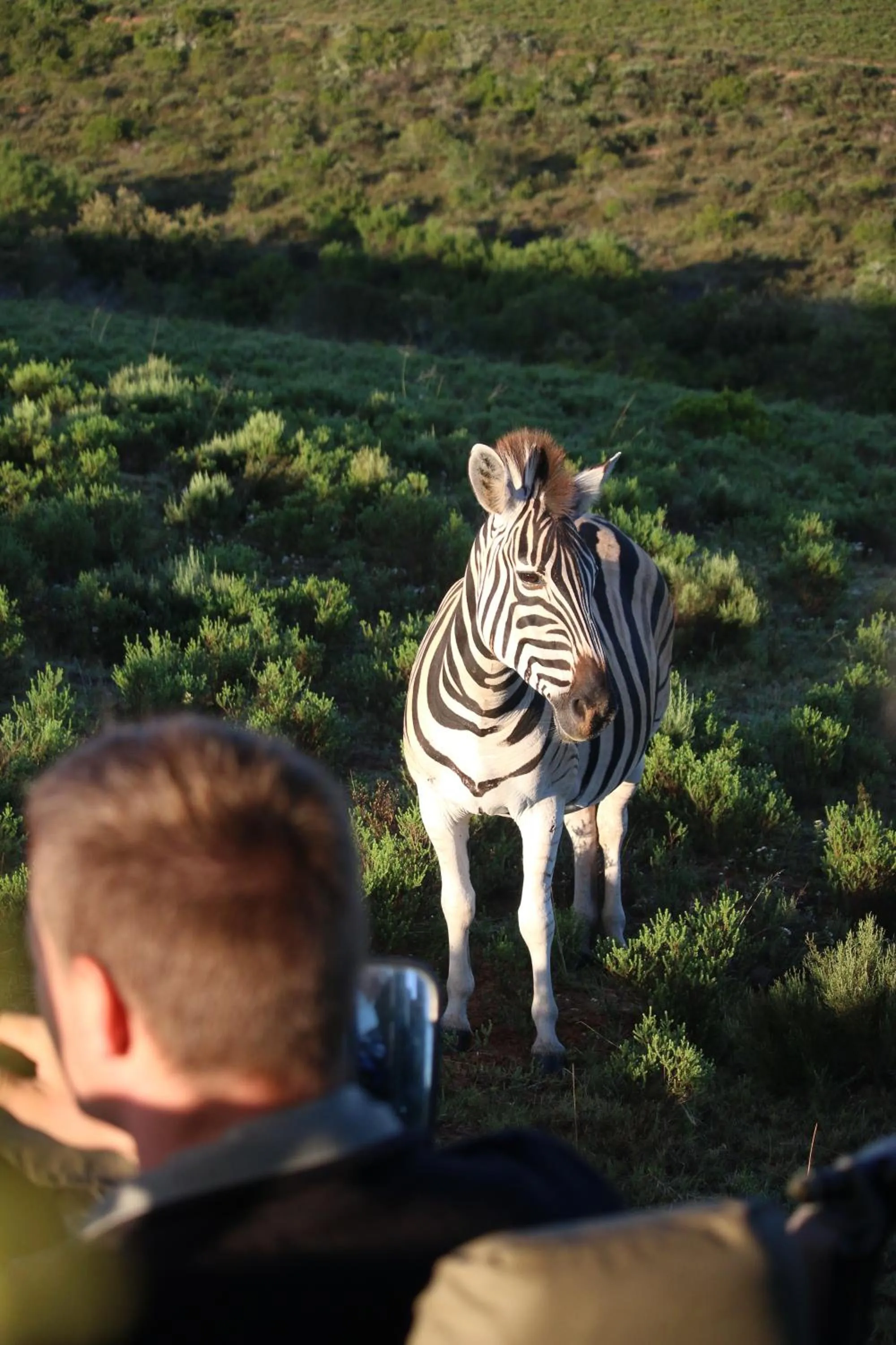 Garden Route Safari Camp