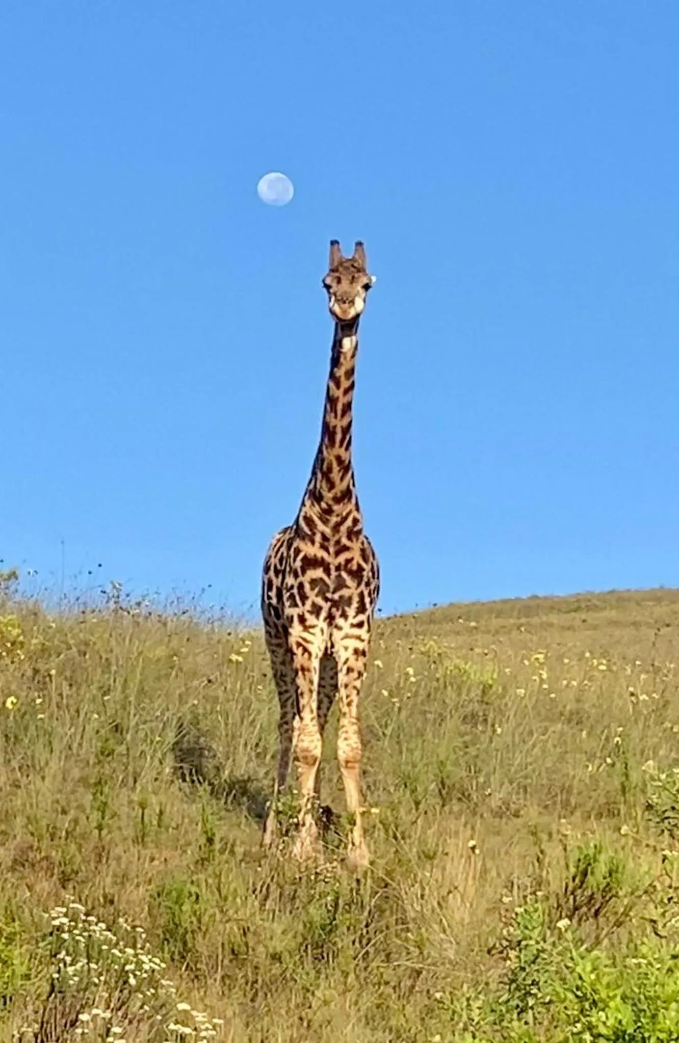 Garden Route Safari Camp