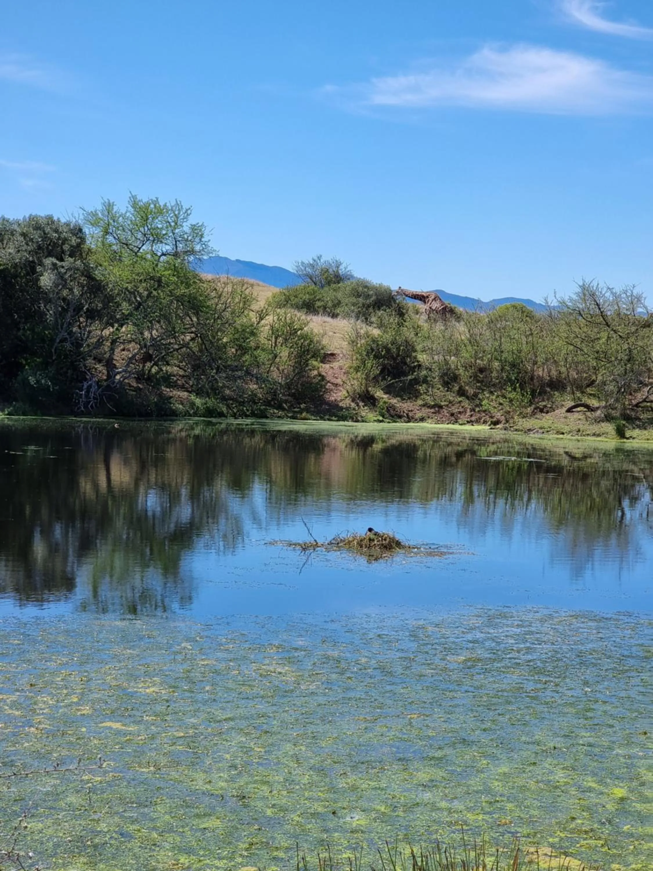 Day in Garden Route Safari Camp