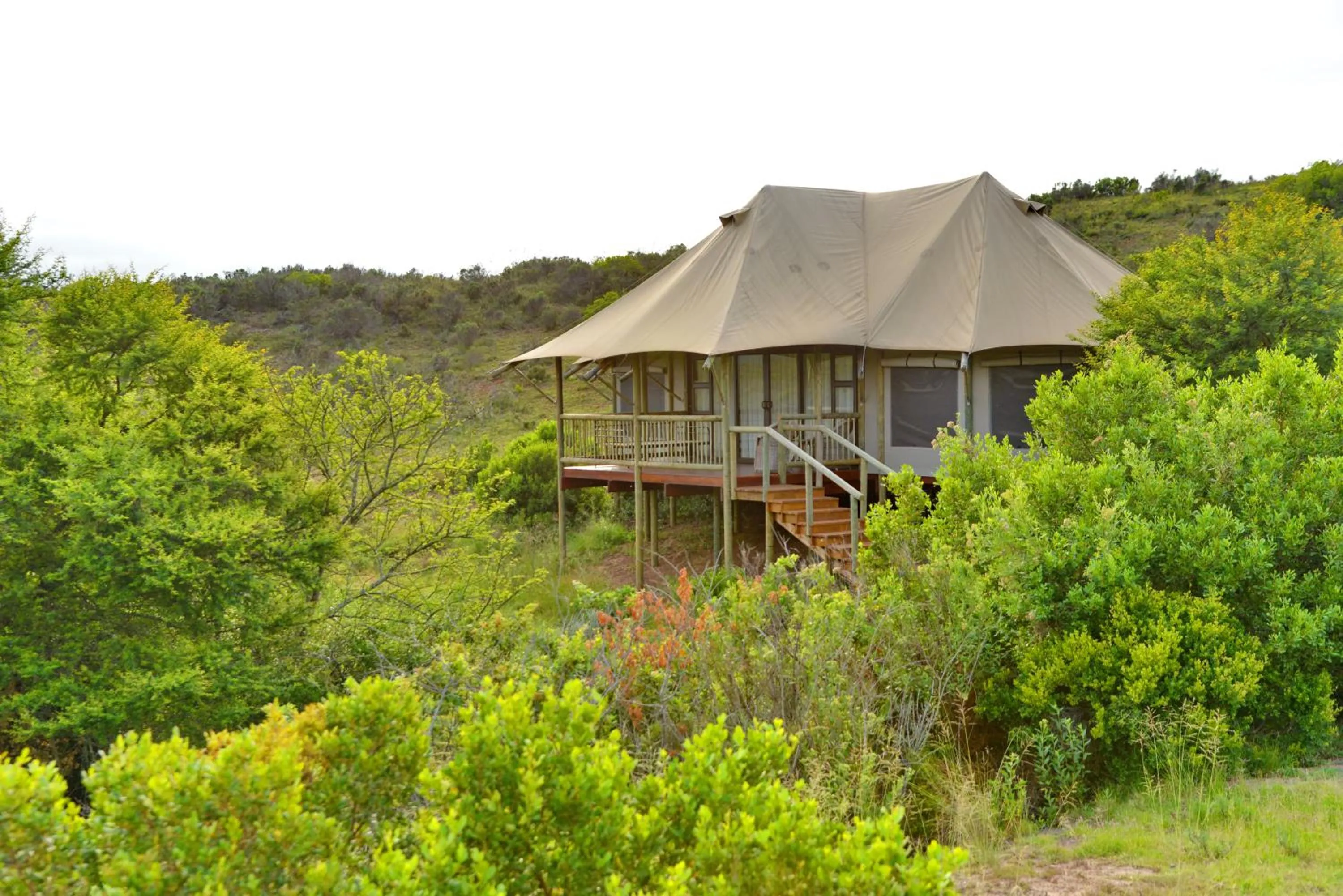 Garden Route Safari Camp