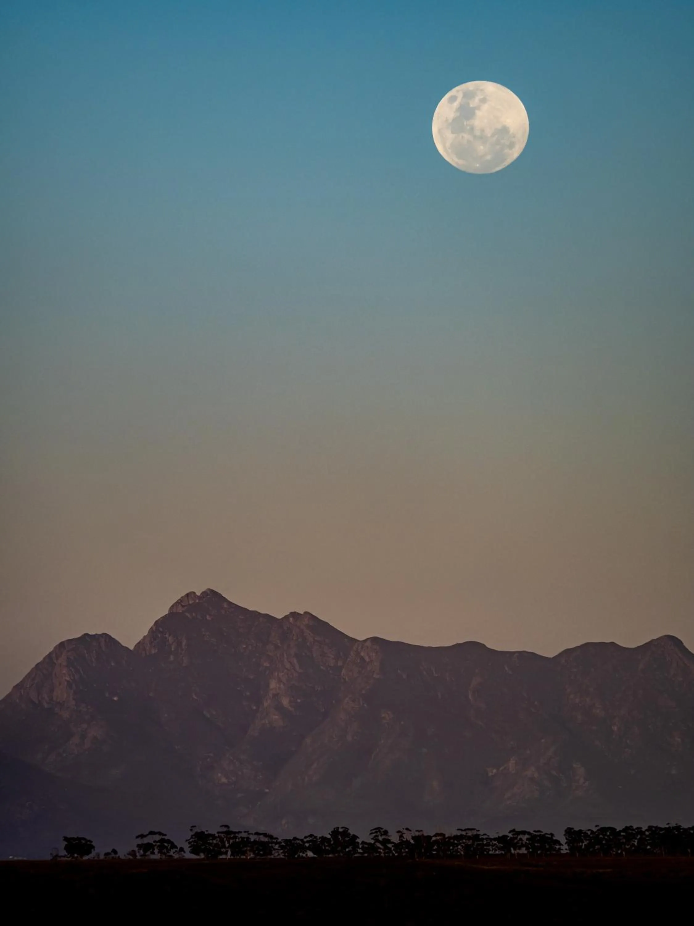 Natural landscape in Garden Route Safari Camp