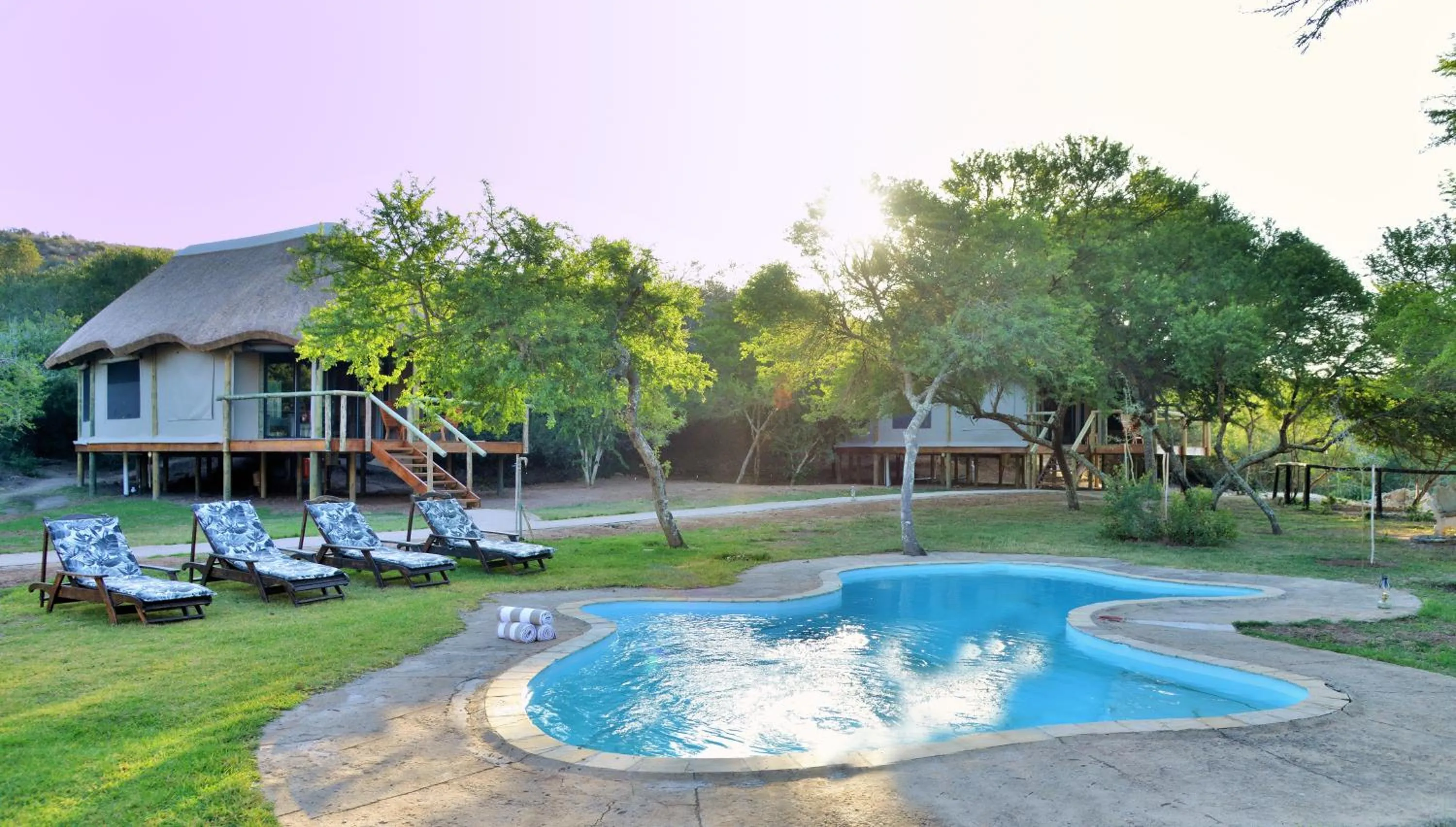 Pool view in Garden Route Safari Camp