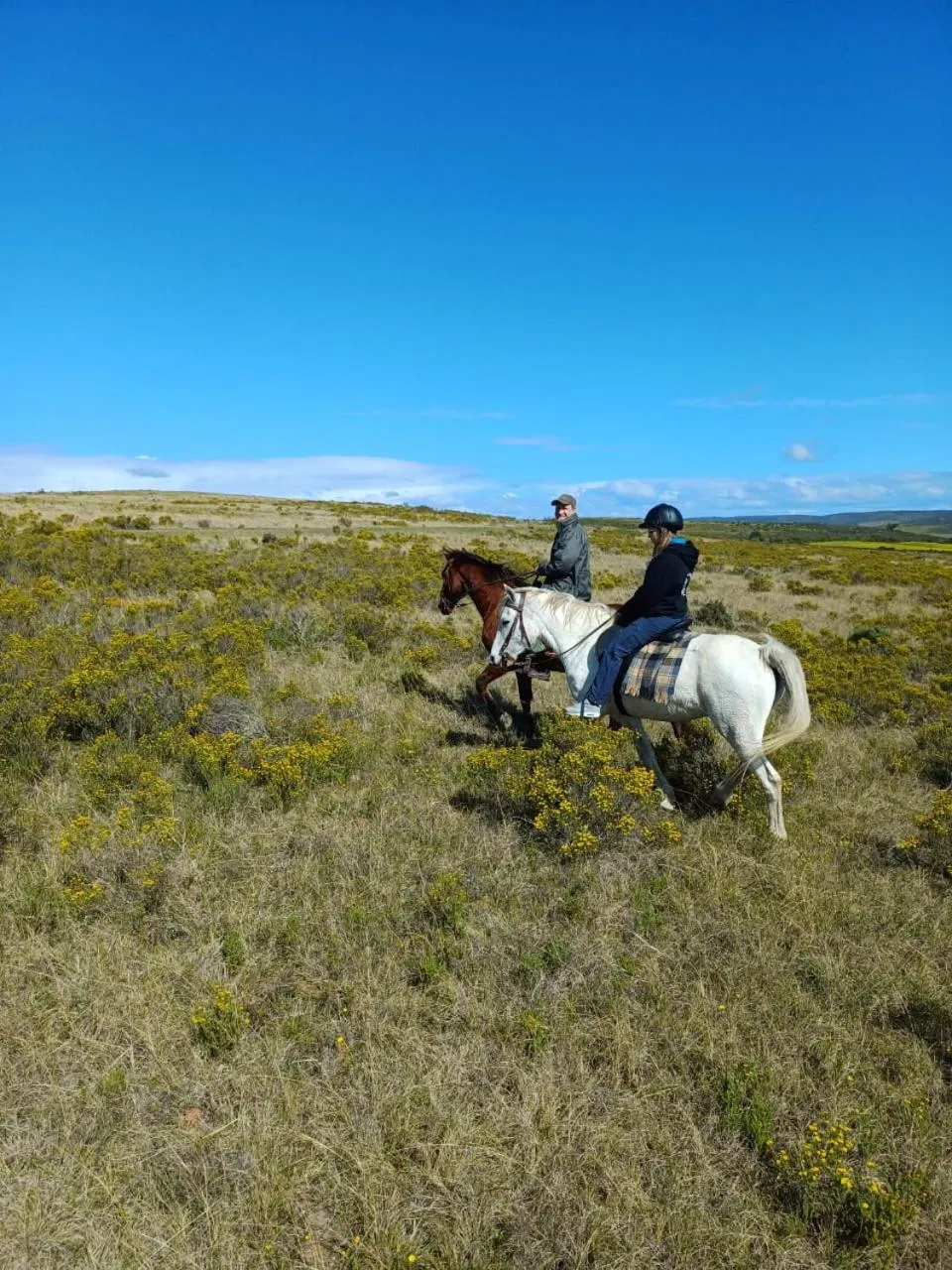 Garden Route Safari Camp