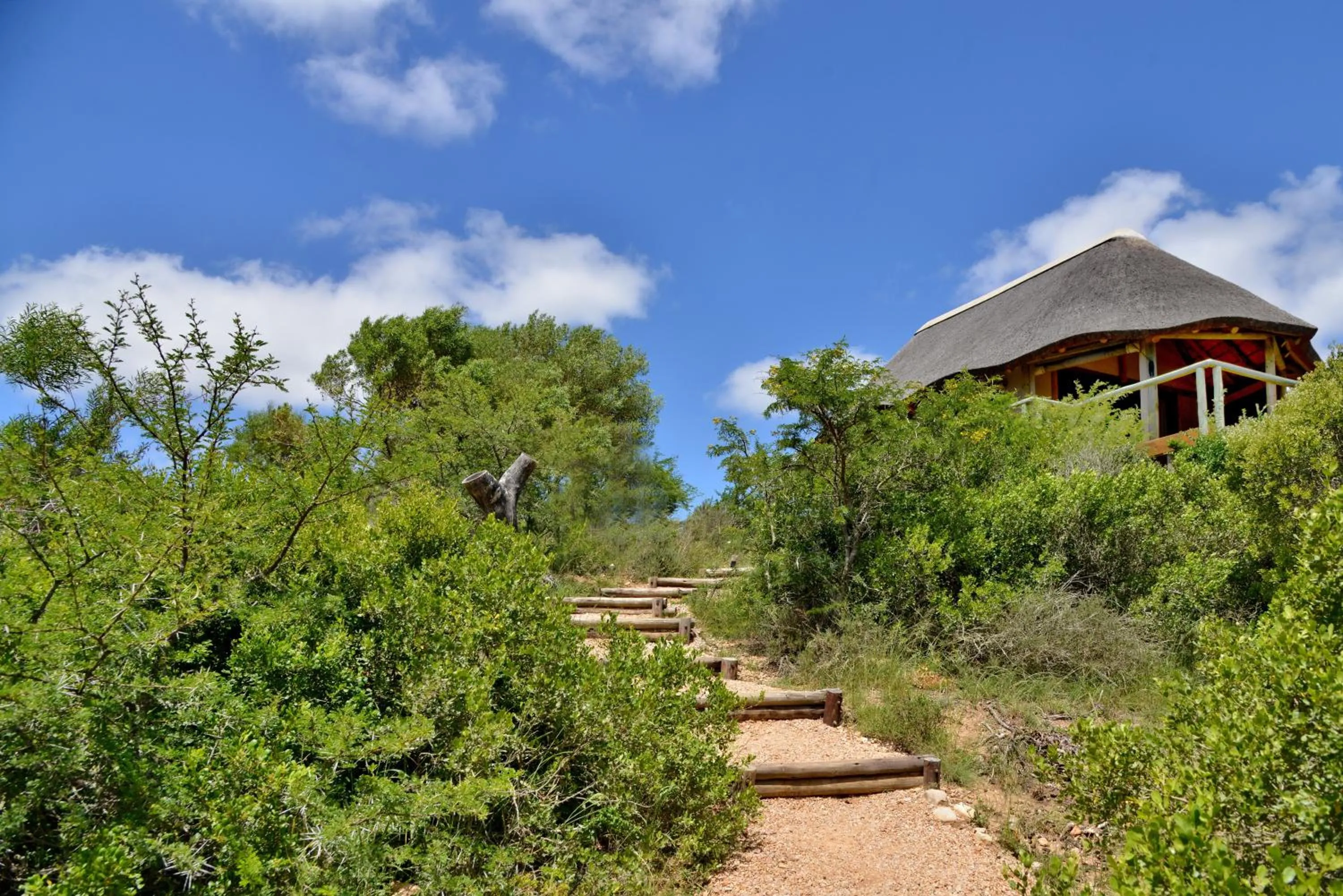 Garden Route Safari Camp