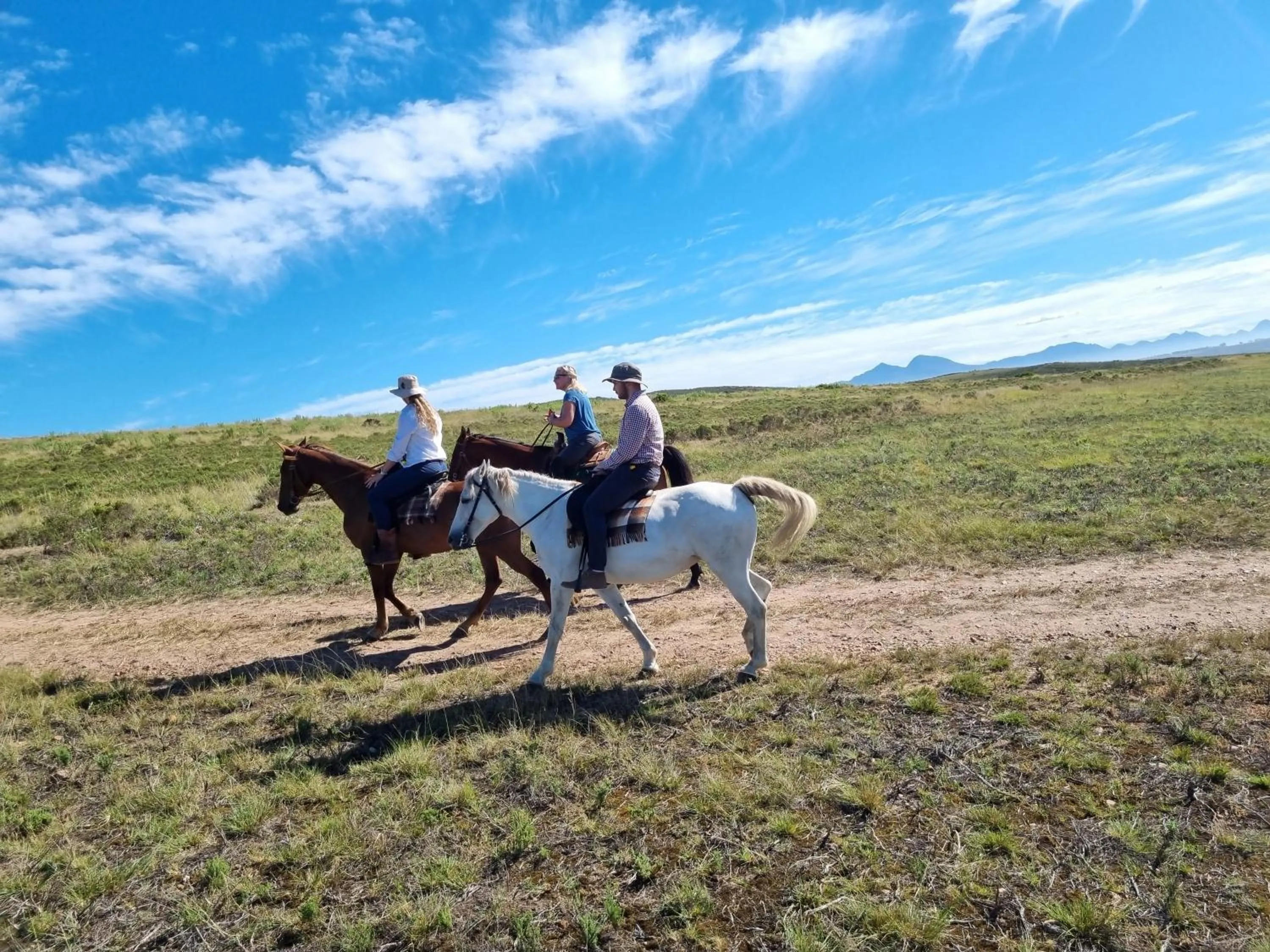 Day in Garden Route Safari Camp
