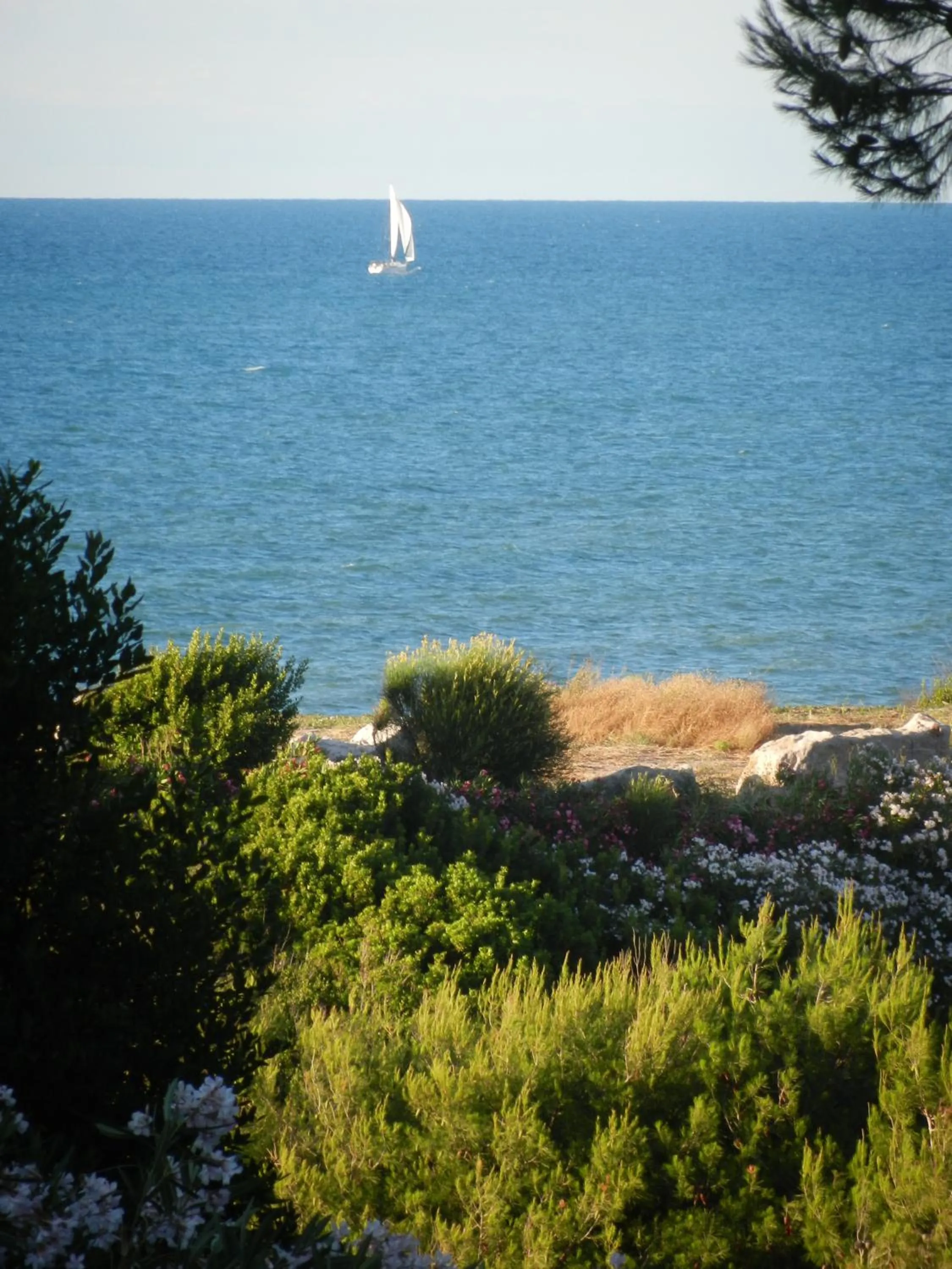 View (from property/room) in Tenuta Molino di Mare- Ecoresort