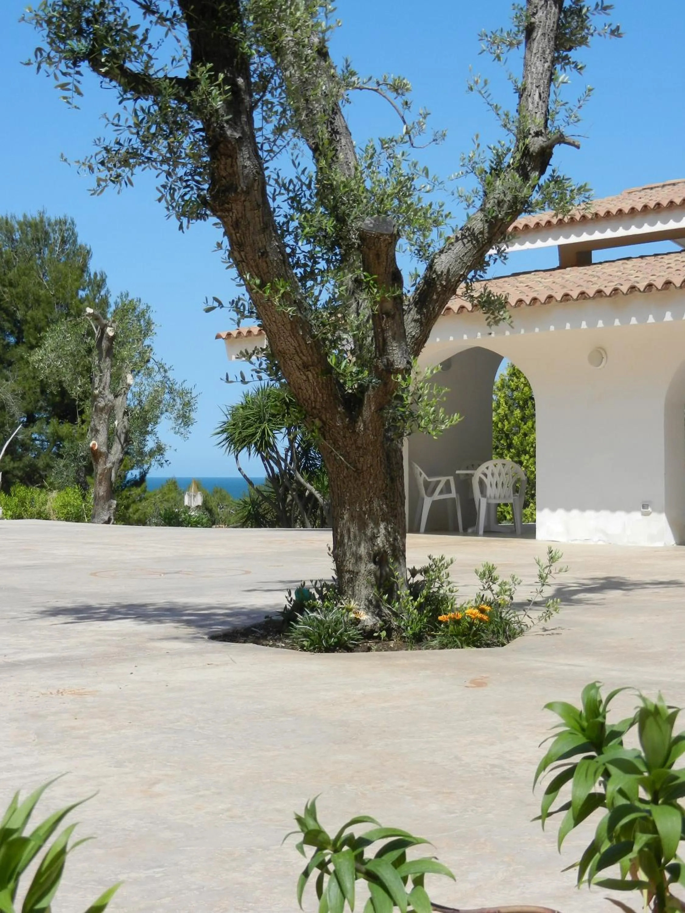 Balcony/Terrace in Tenuta Molino di Mare- Ecoresort