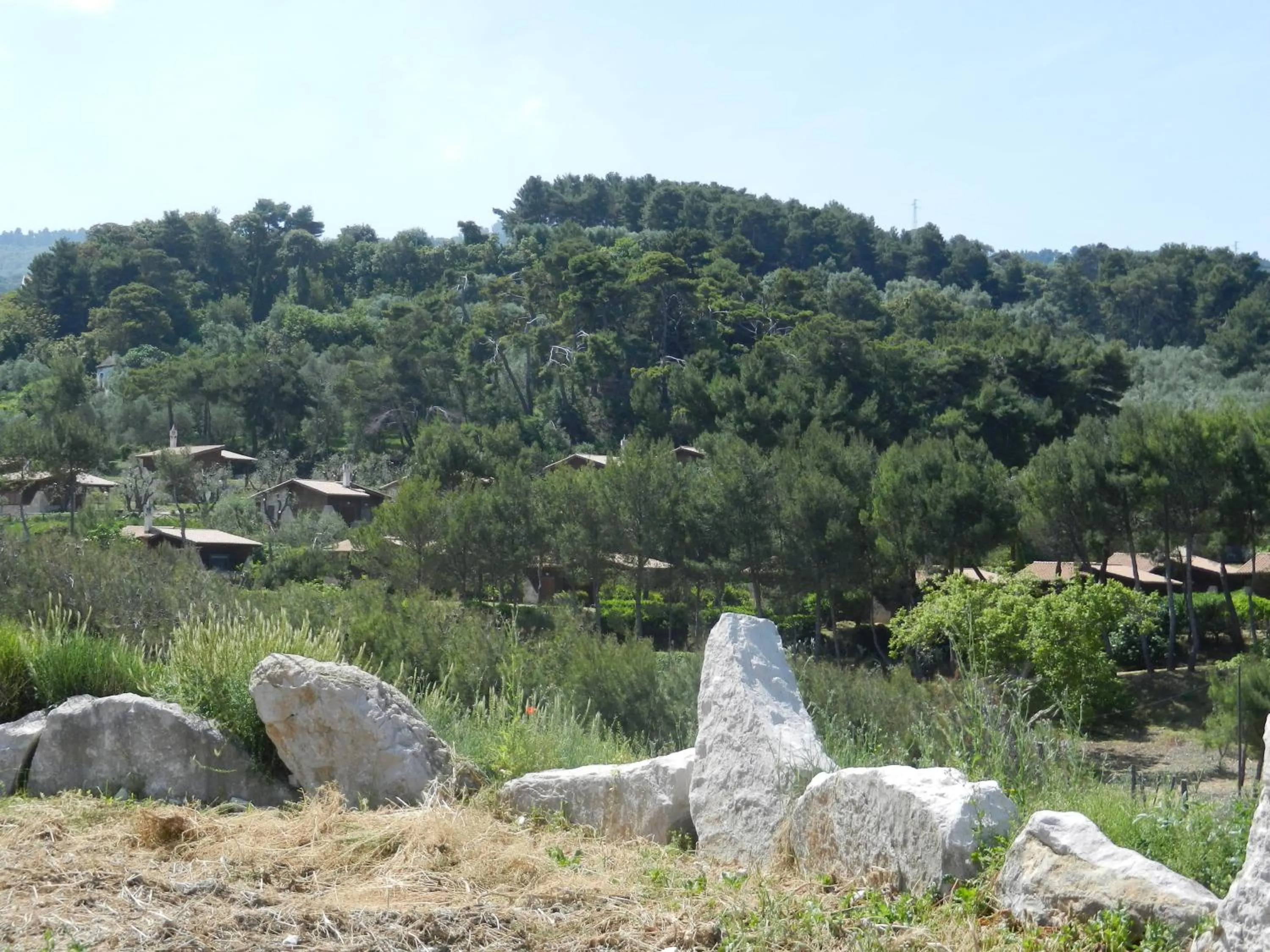View (from property/room) in Tenuta Molino di Mare- Ecoresort