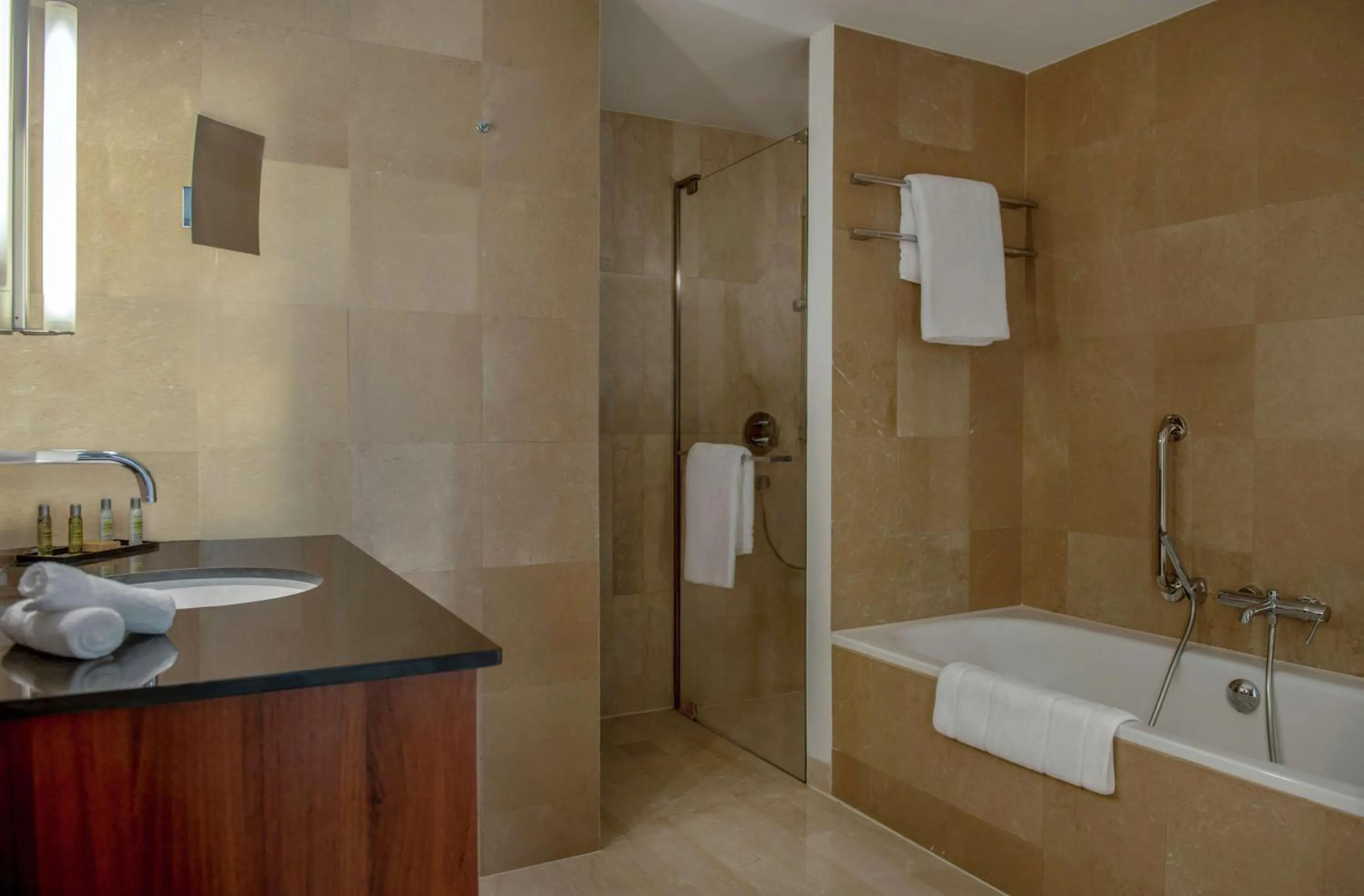 Bathroom in Hilton Beirut Downtown