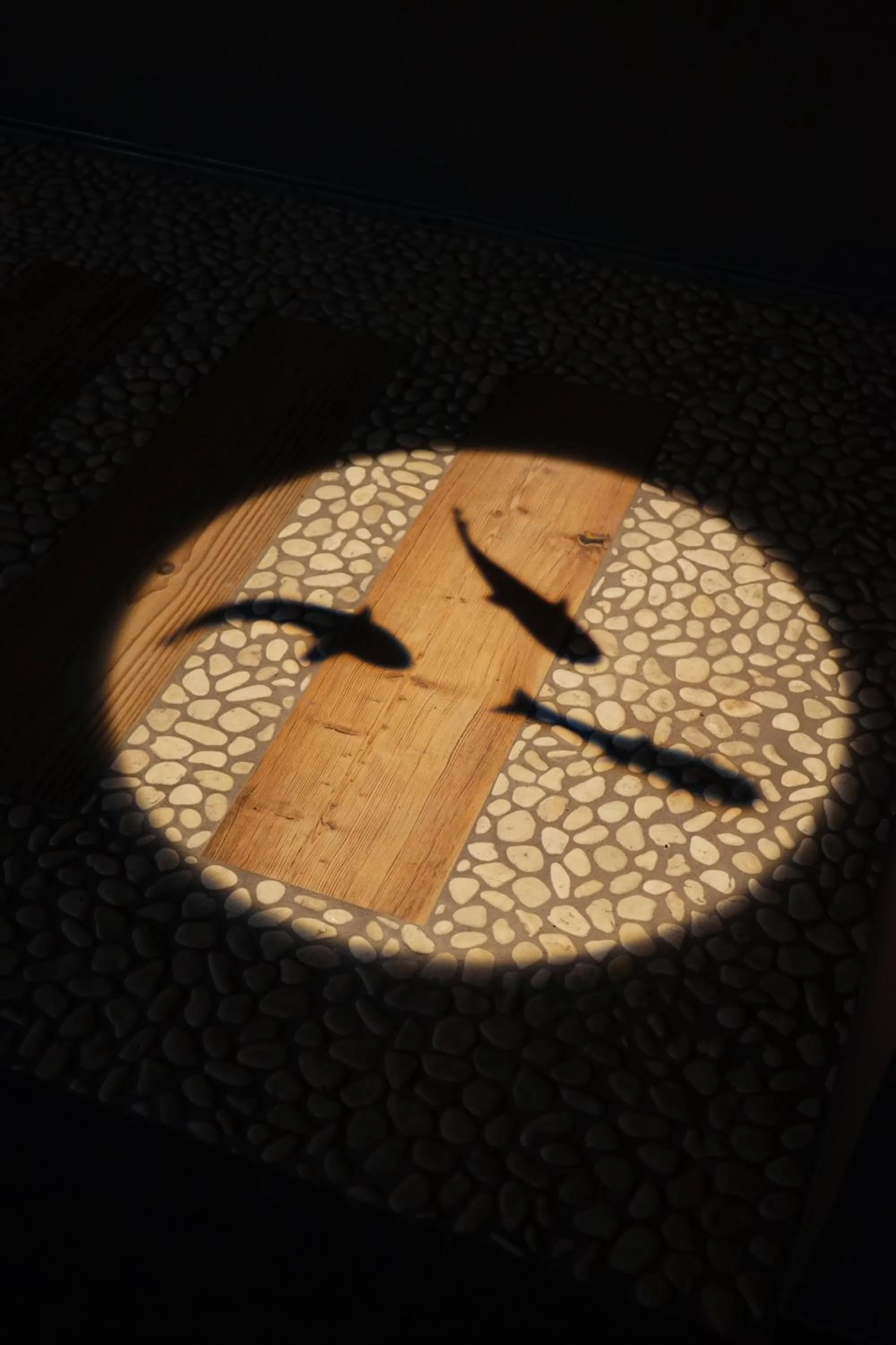 Spa and wellness centre/facilities in Hotel Cesa Tyrol