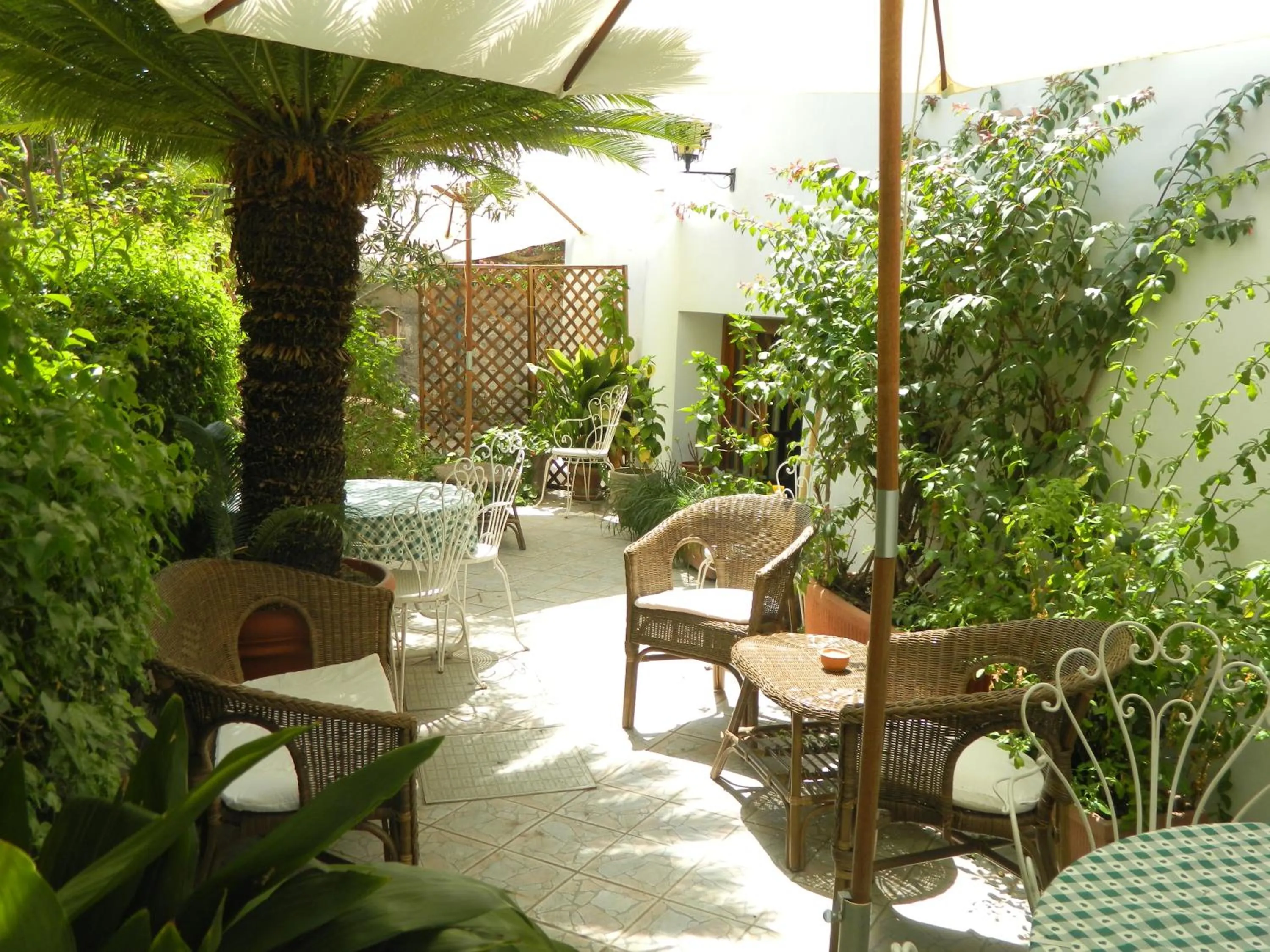 Balcony/Terrace in Hotel Villa Hermosa