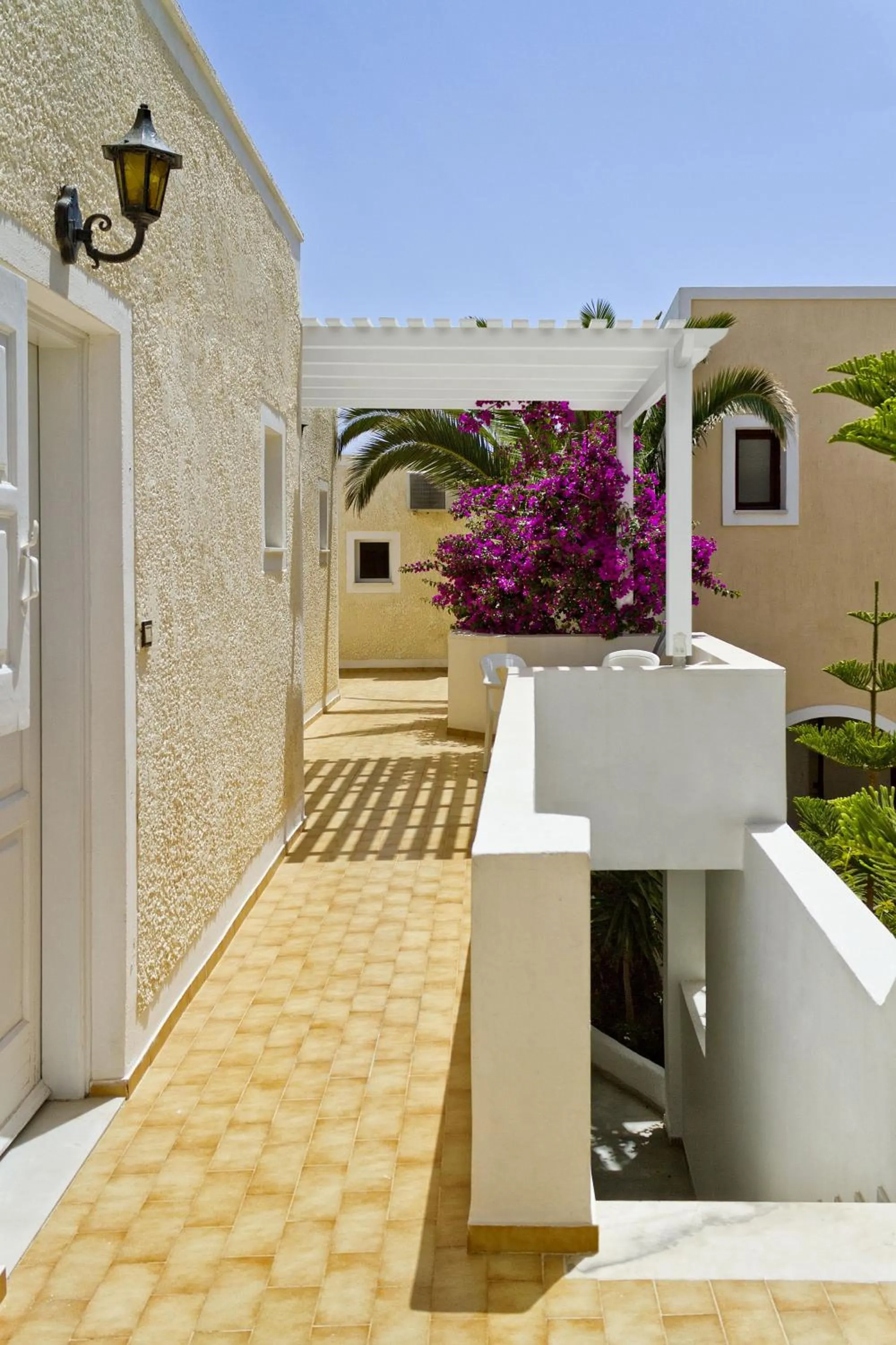 Day in Dolphins Apartments