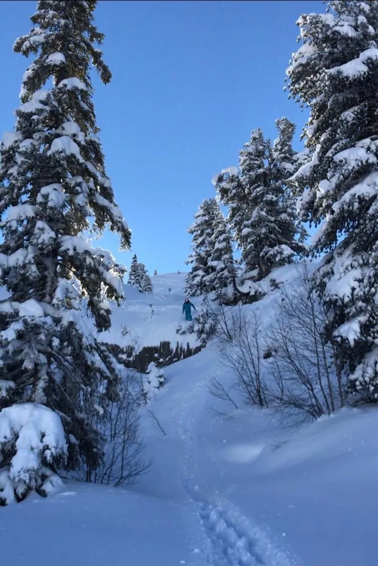 Hôtel LAPIAZ & Spa - FLAINE