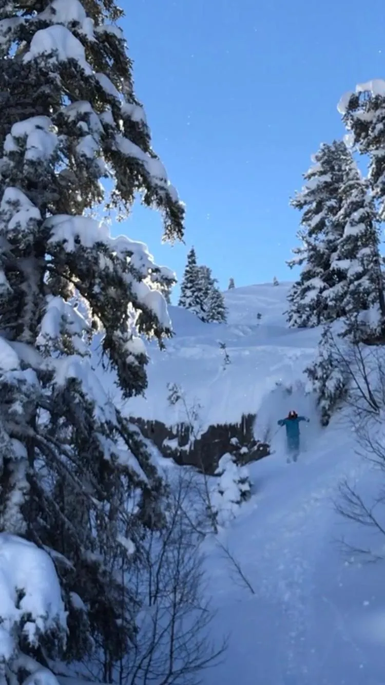Hôtel LAPIAZ & Spa - FLAINE