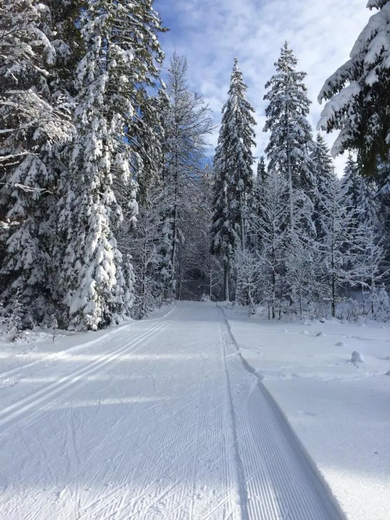 Hôtel LAPIAZ & Spa - FLAINE