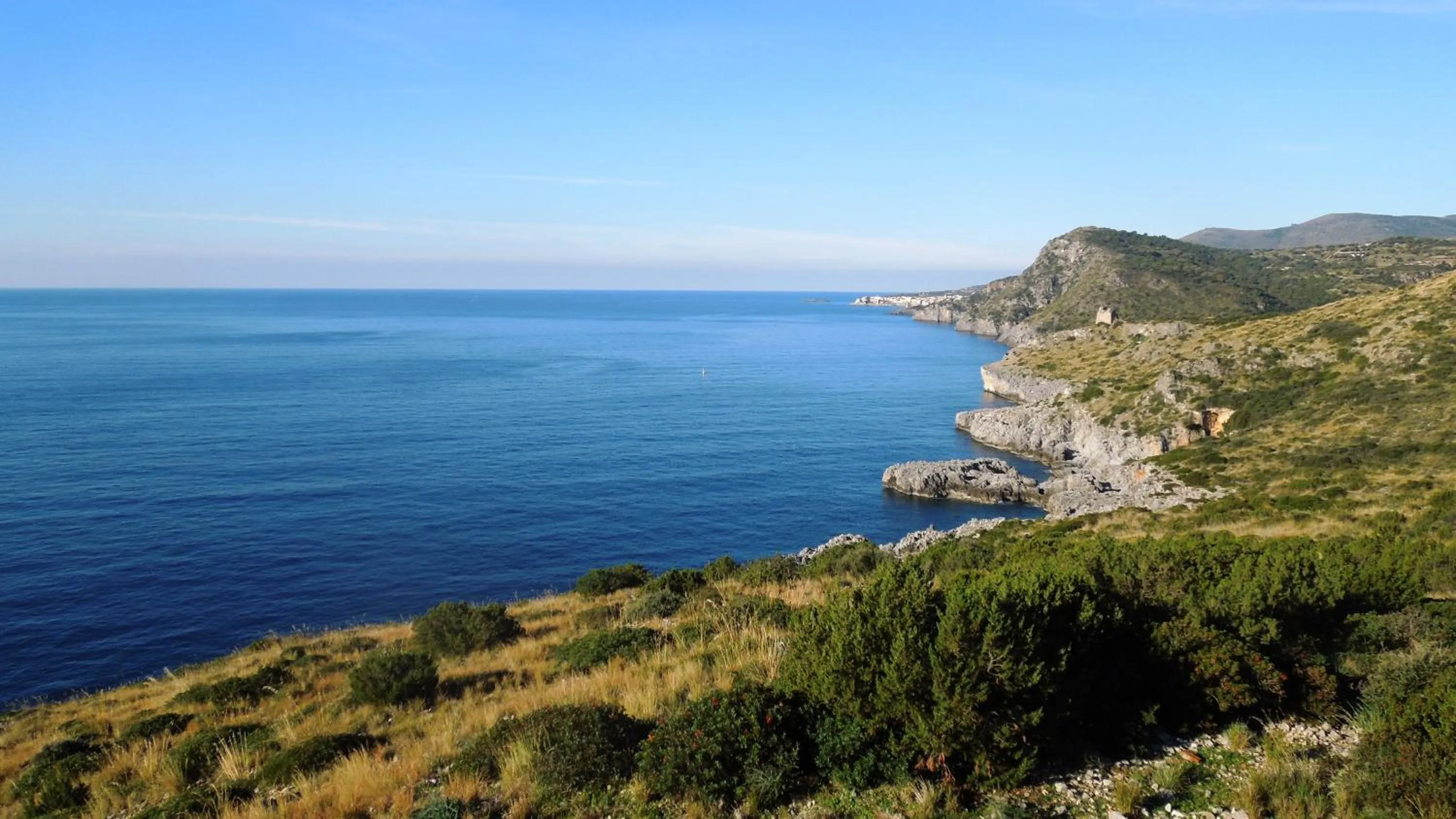 Activities in Delfino