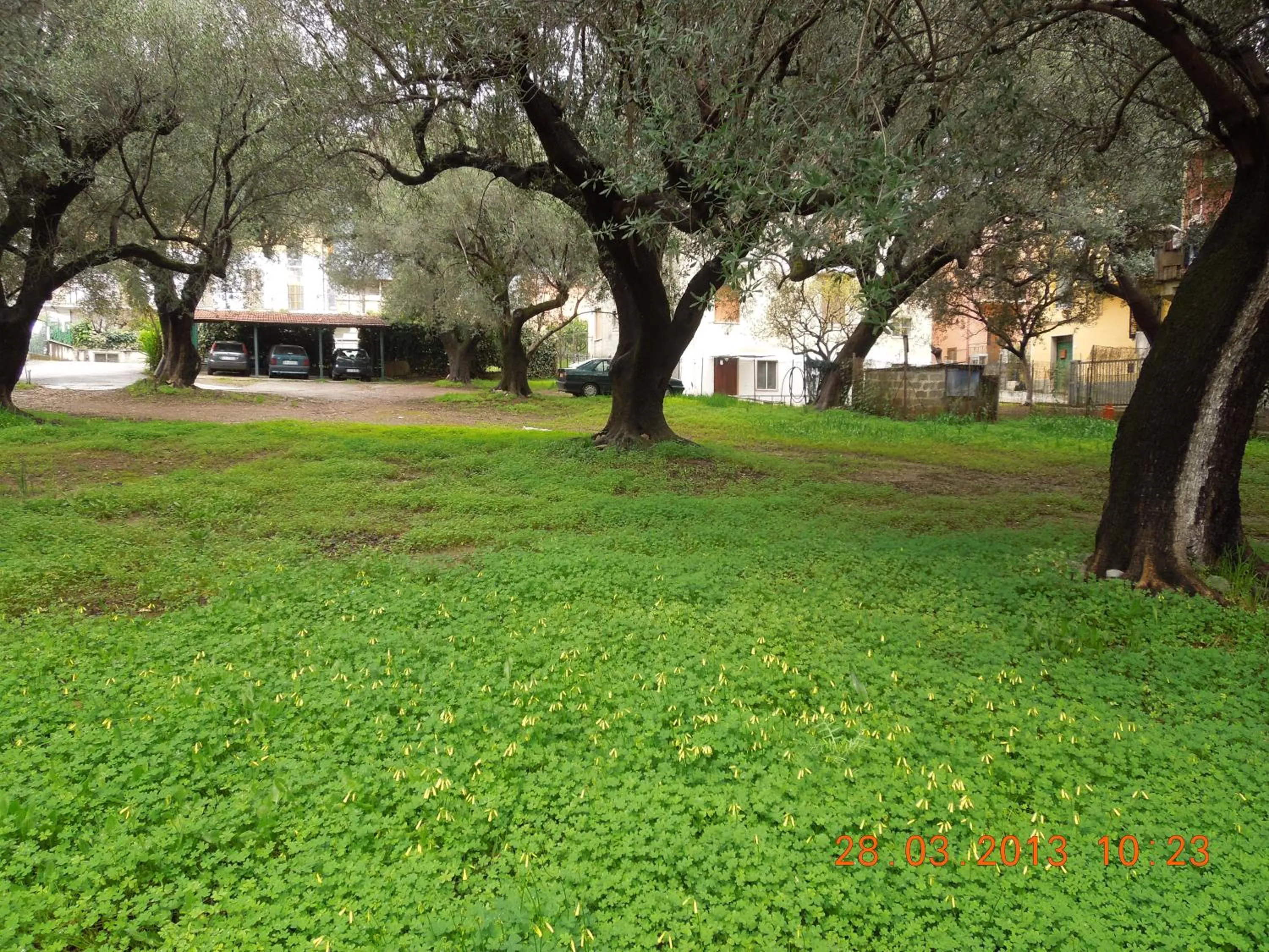 Area and facilities in Delfino