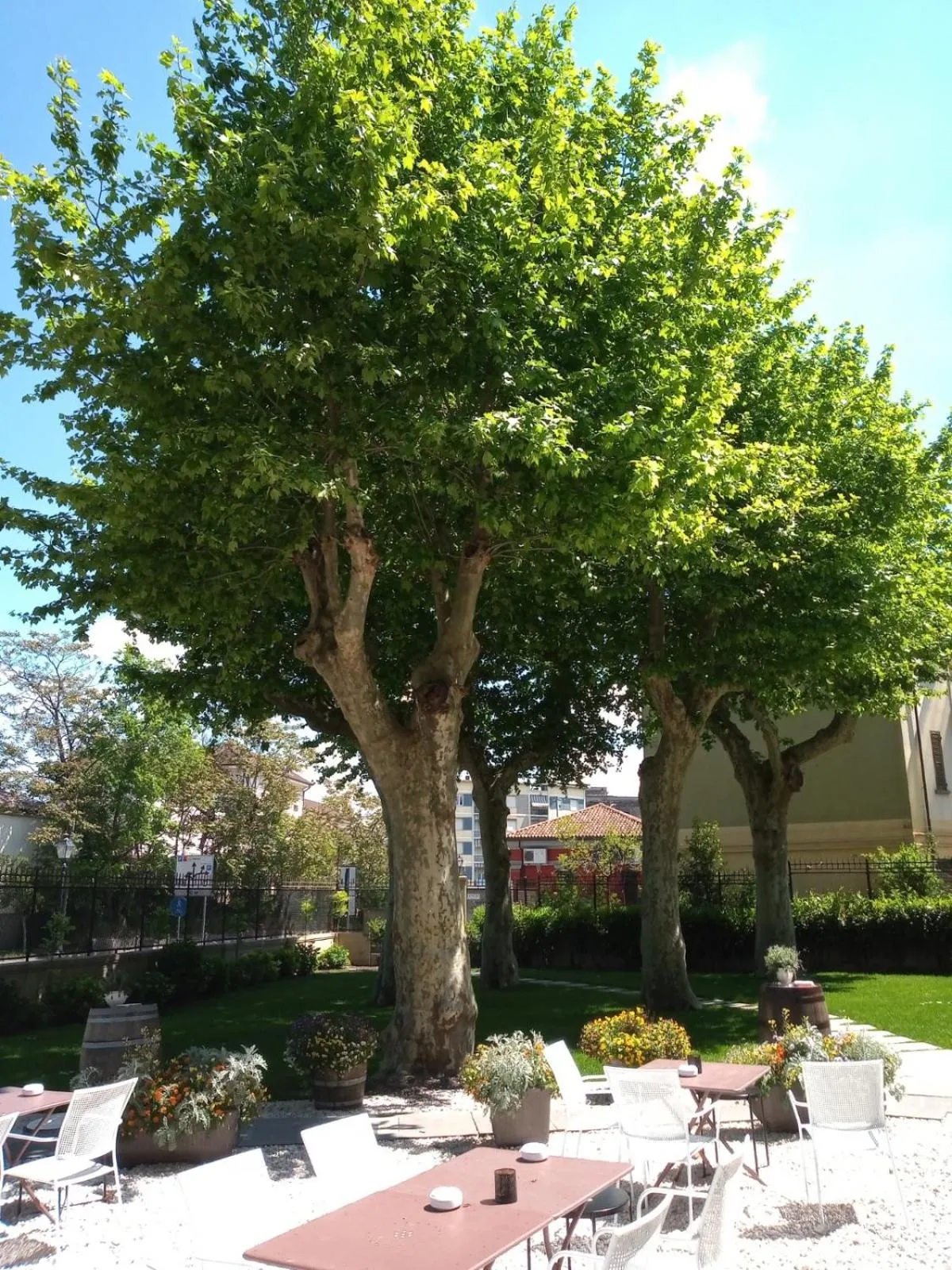 Garden in Ristorante Albergo Corona