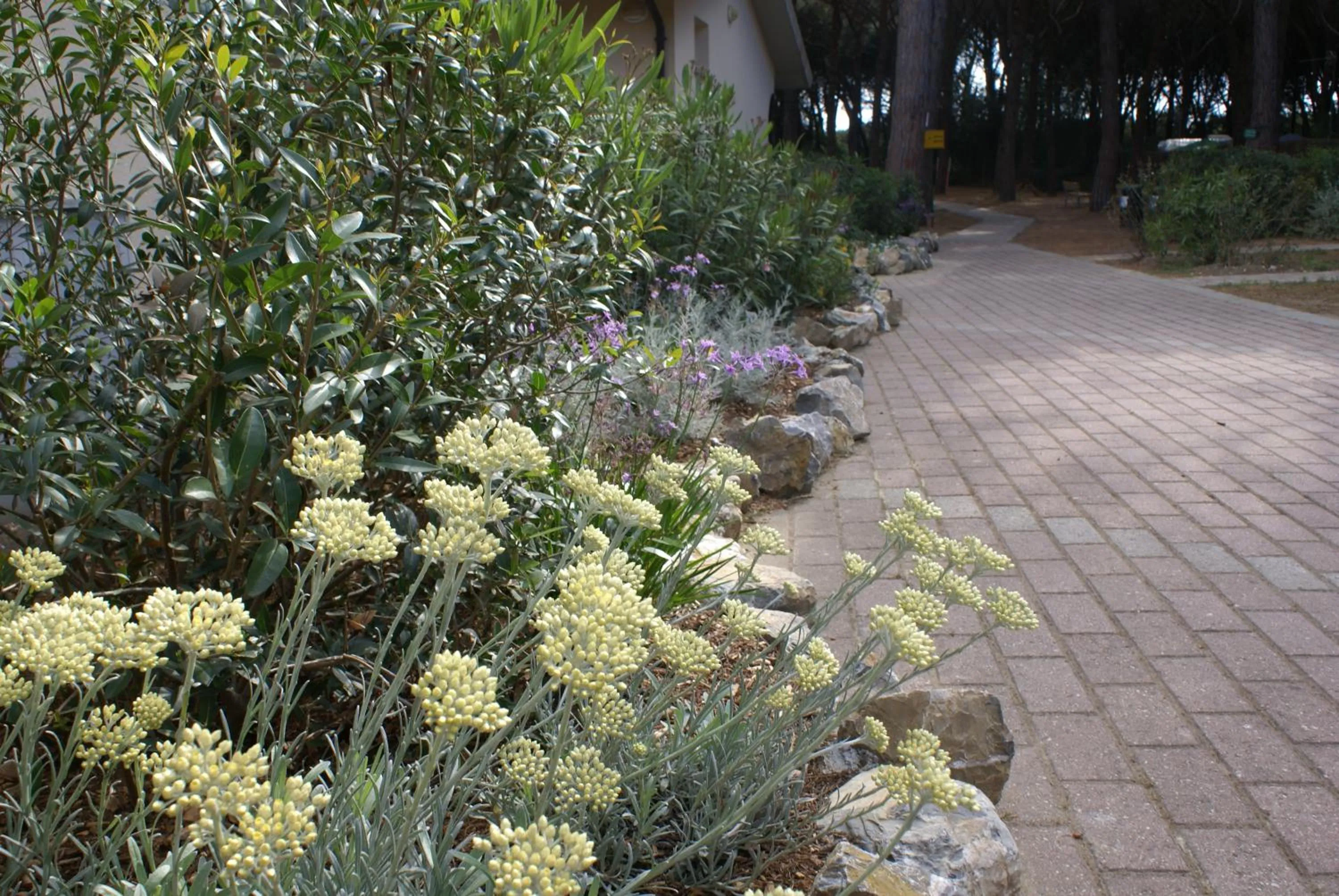 Spring in Golfo di Maremma Village