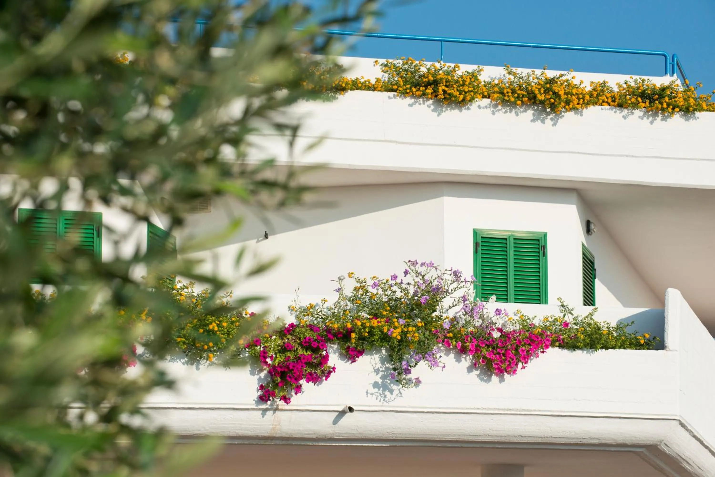 Property building in Corvino Resort