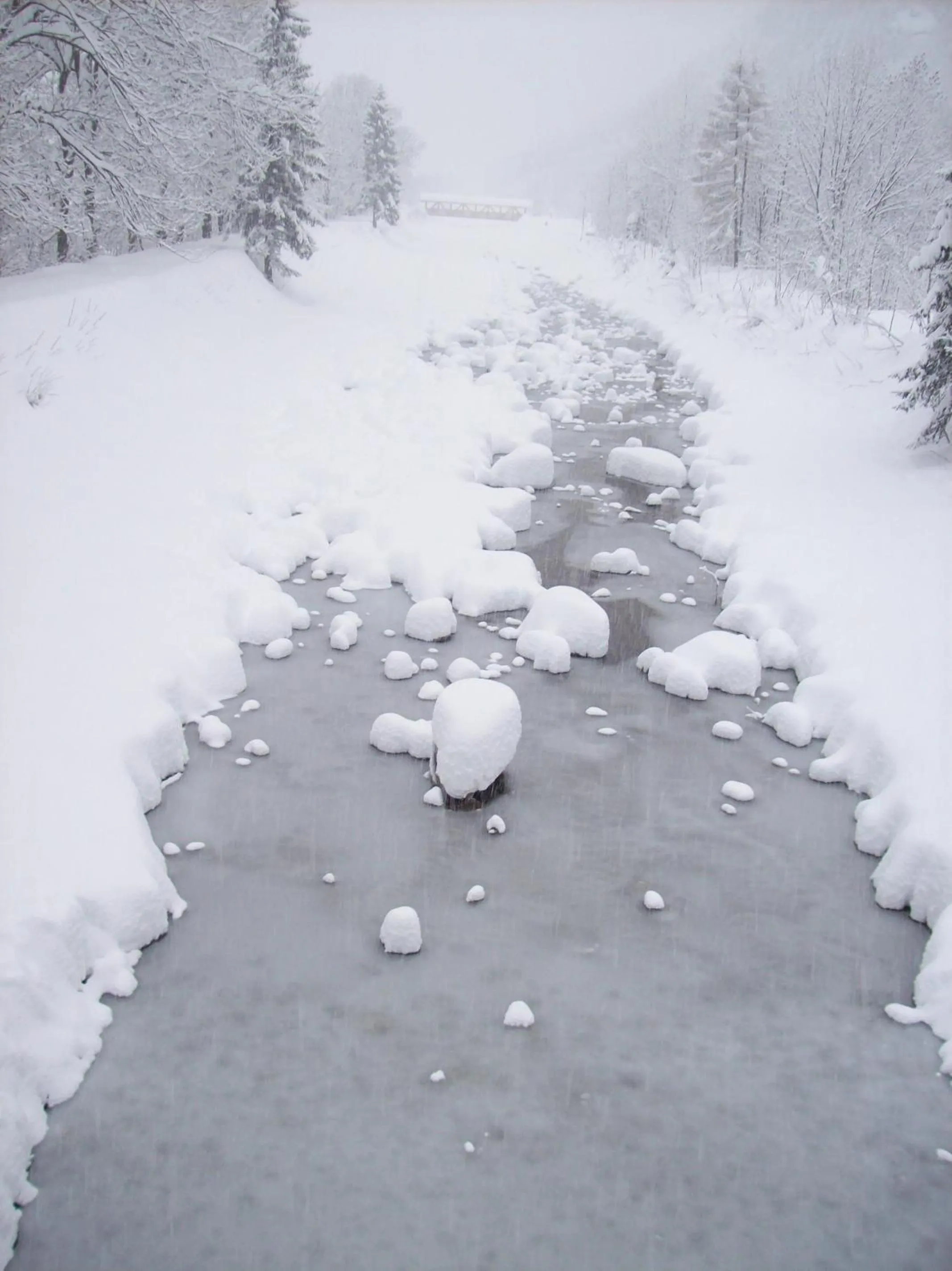 Area and facilities in Campodolcino Camping
