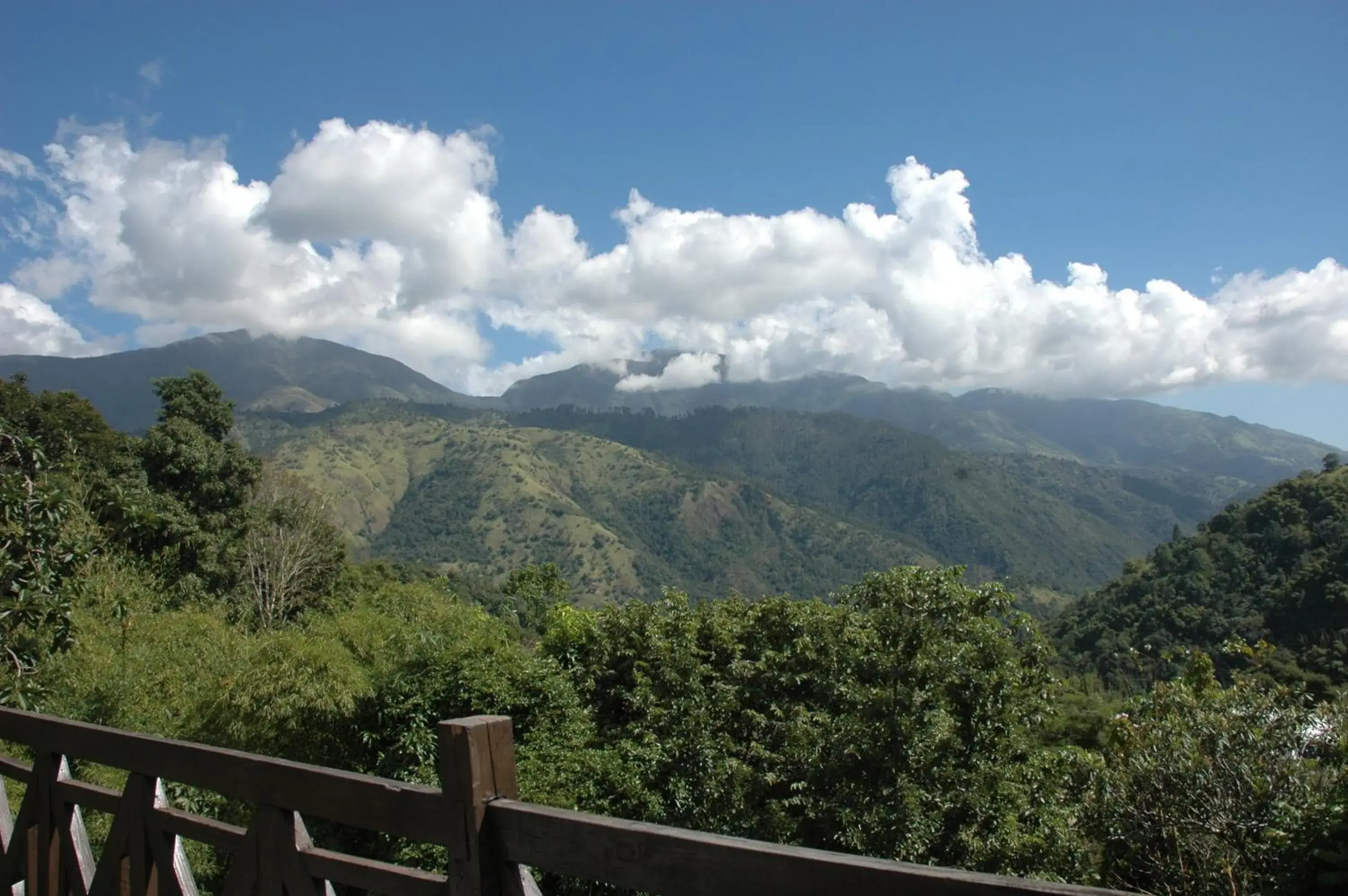 Standard Room in Forres Park Nature Retreat Standard Room in Forres Park Nature Retreat