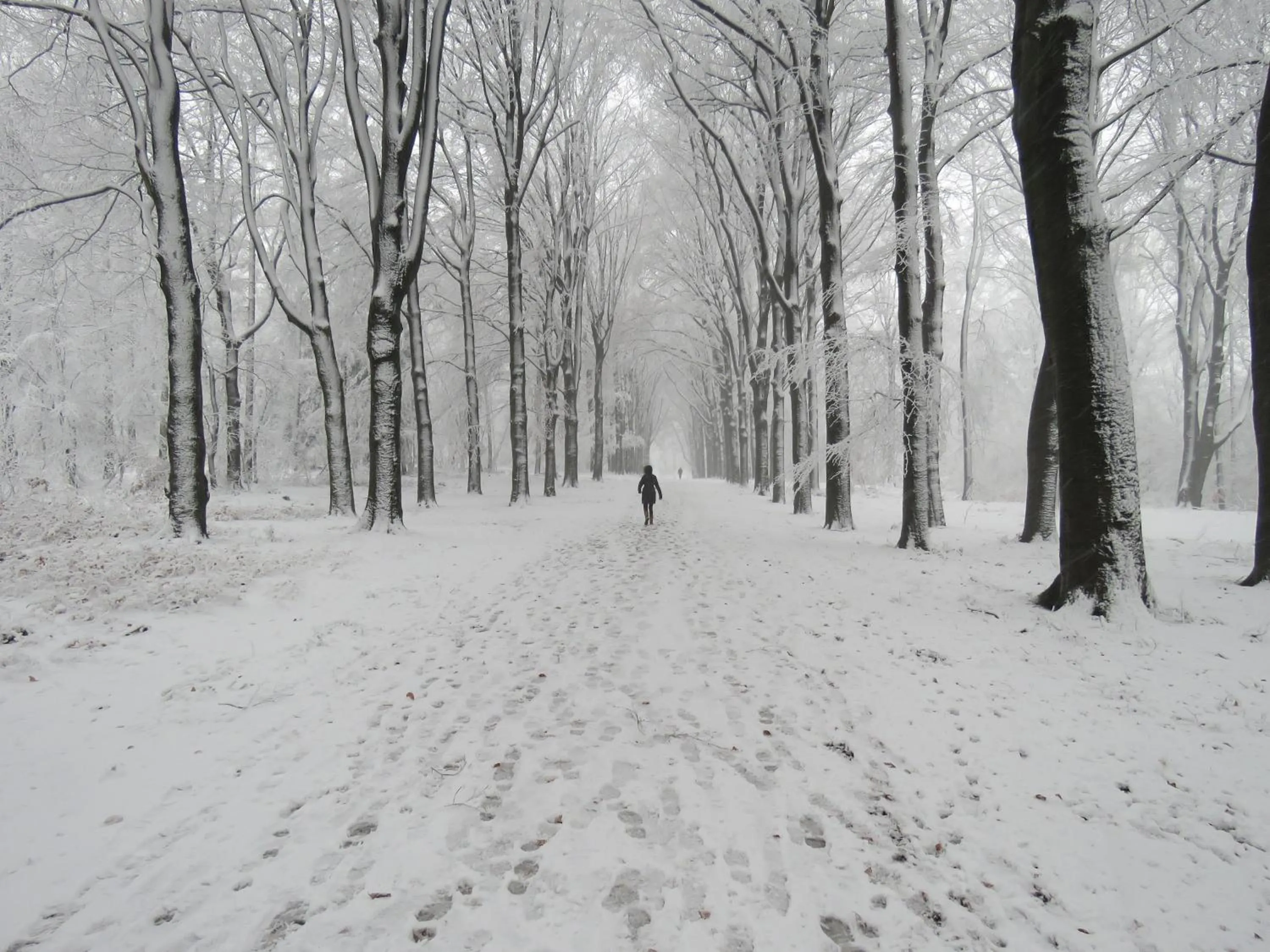 Neighbourhood in Teska Bed & Breakfast