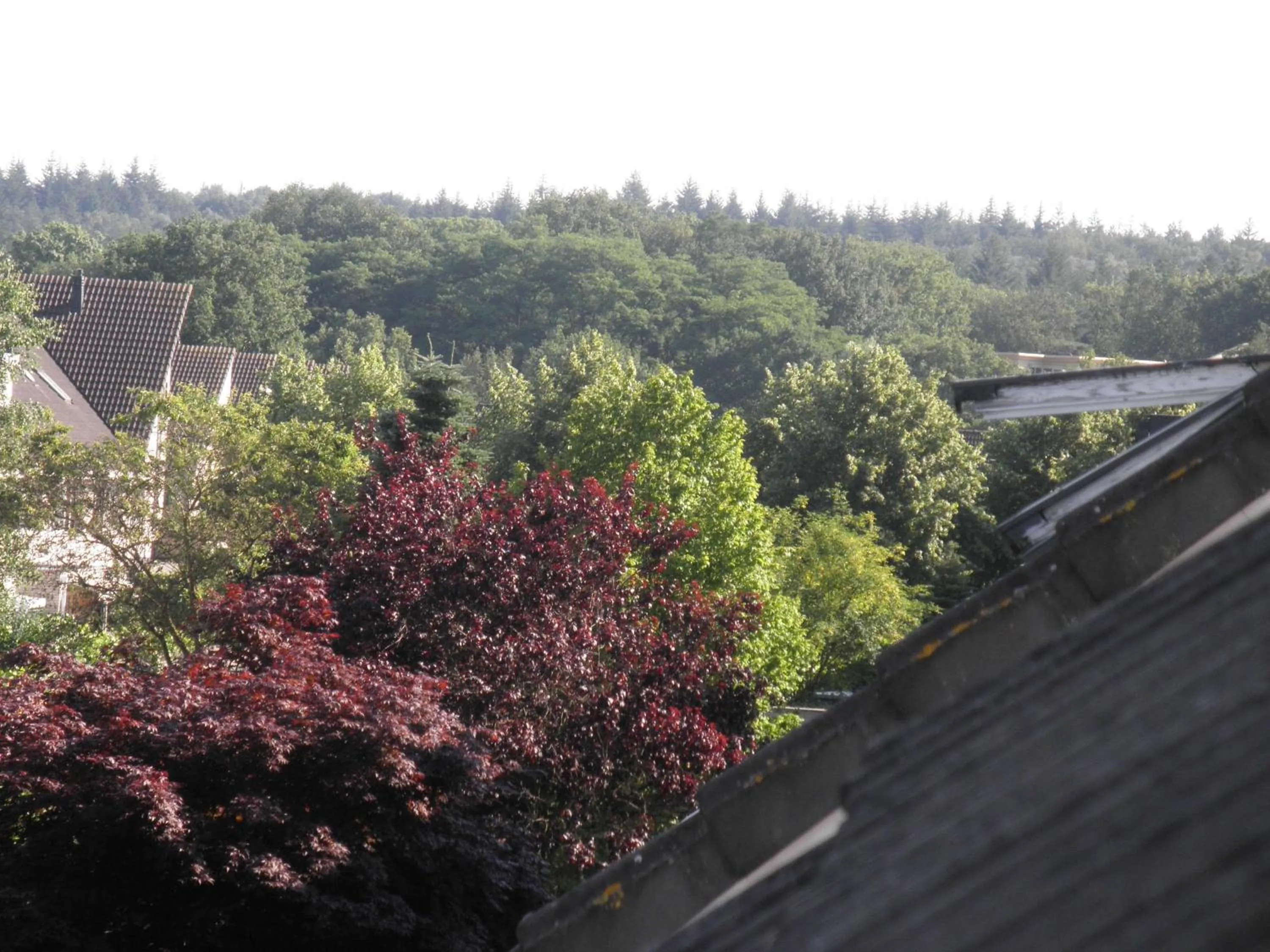 Street view in Teska Bed & Breakfast