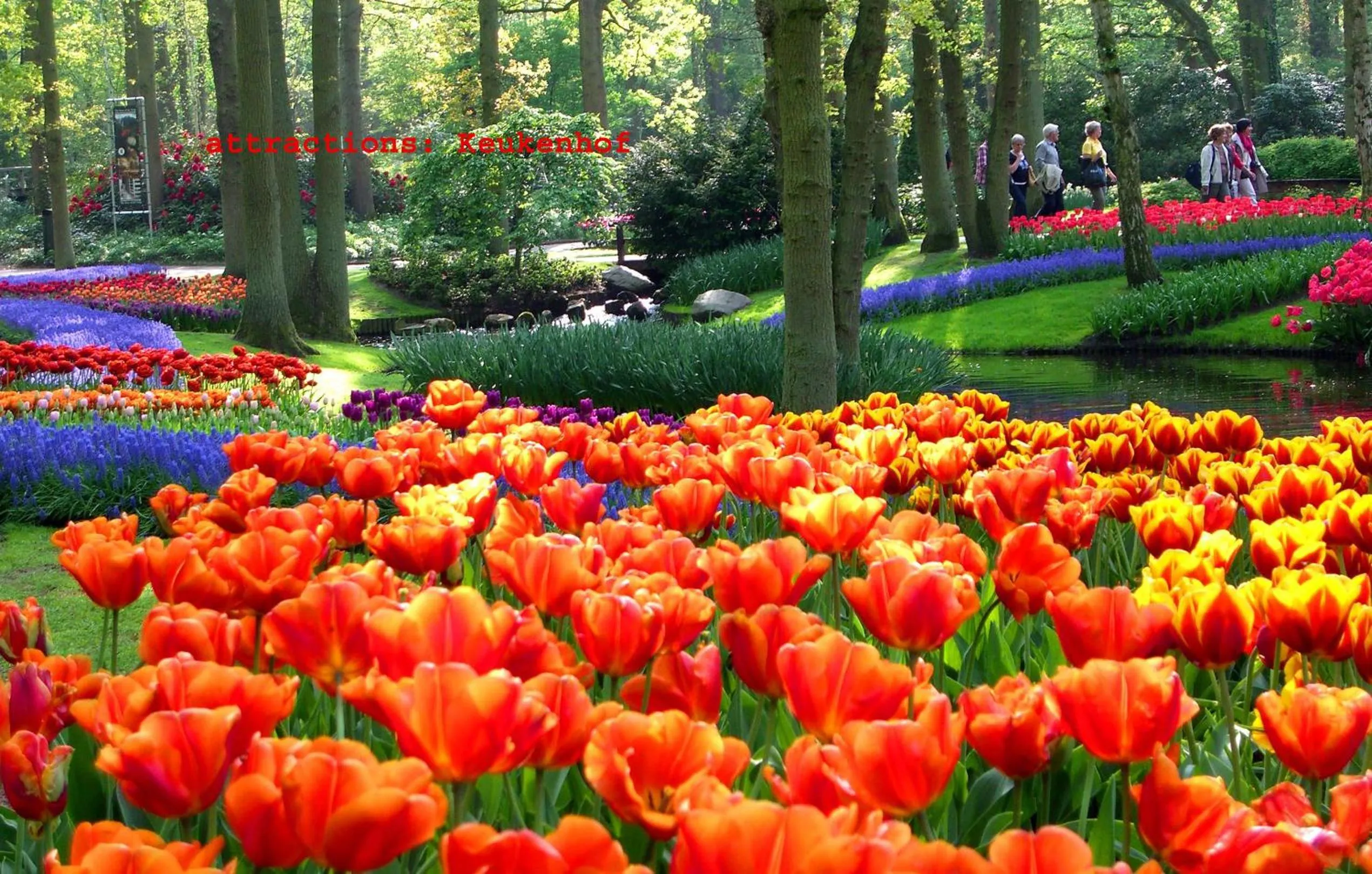 Nearby landmark in Teska Bed & Breakfast