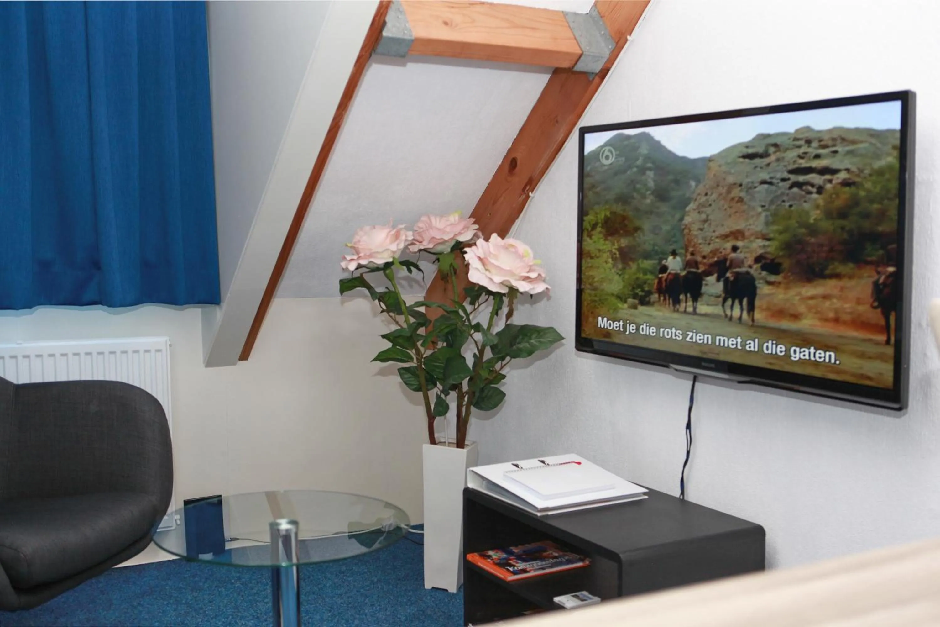 TV and multimedia in Teska Bed & Breakfast