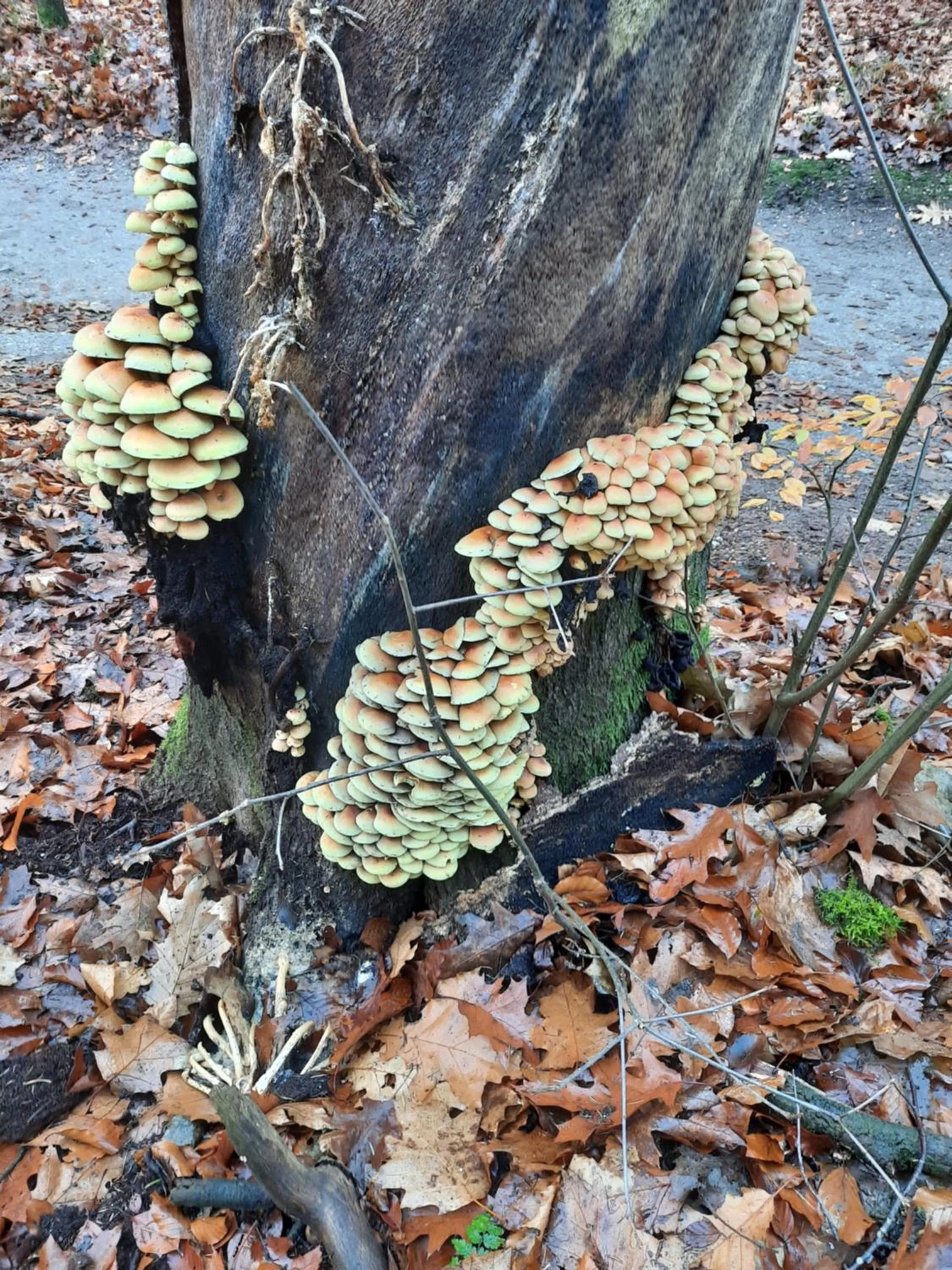 Natural landscape in Teska Bed & Breakfast