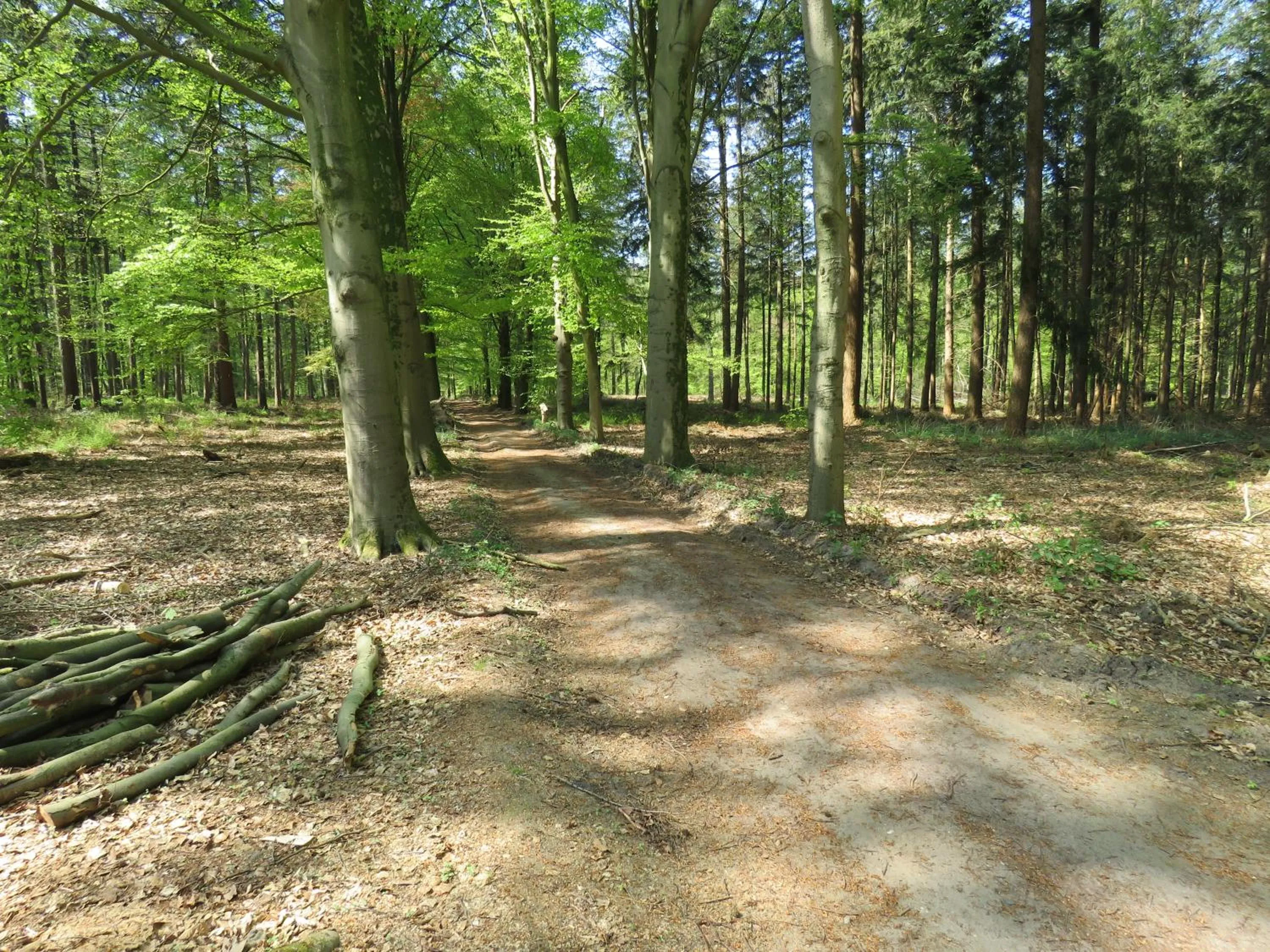 Natural landscape in Teska Bed & Breakfast