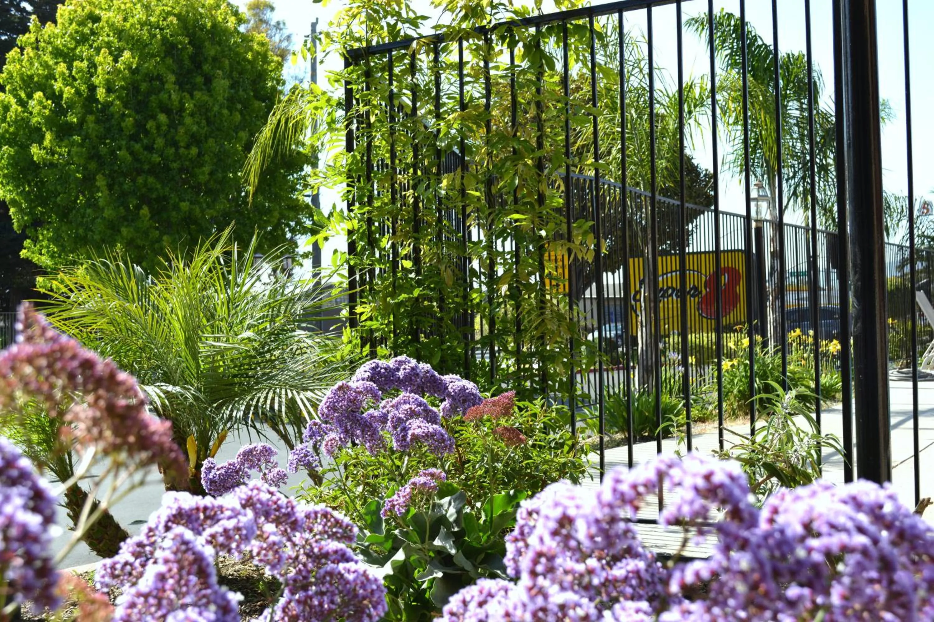 Other in Super 8 by Wyndham Salinas