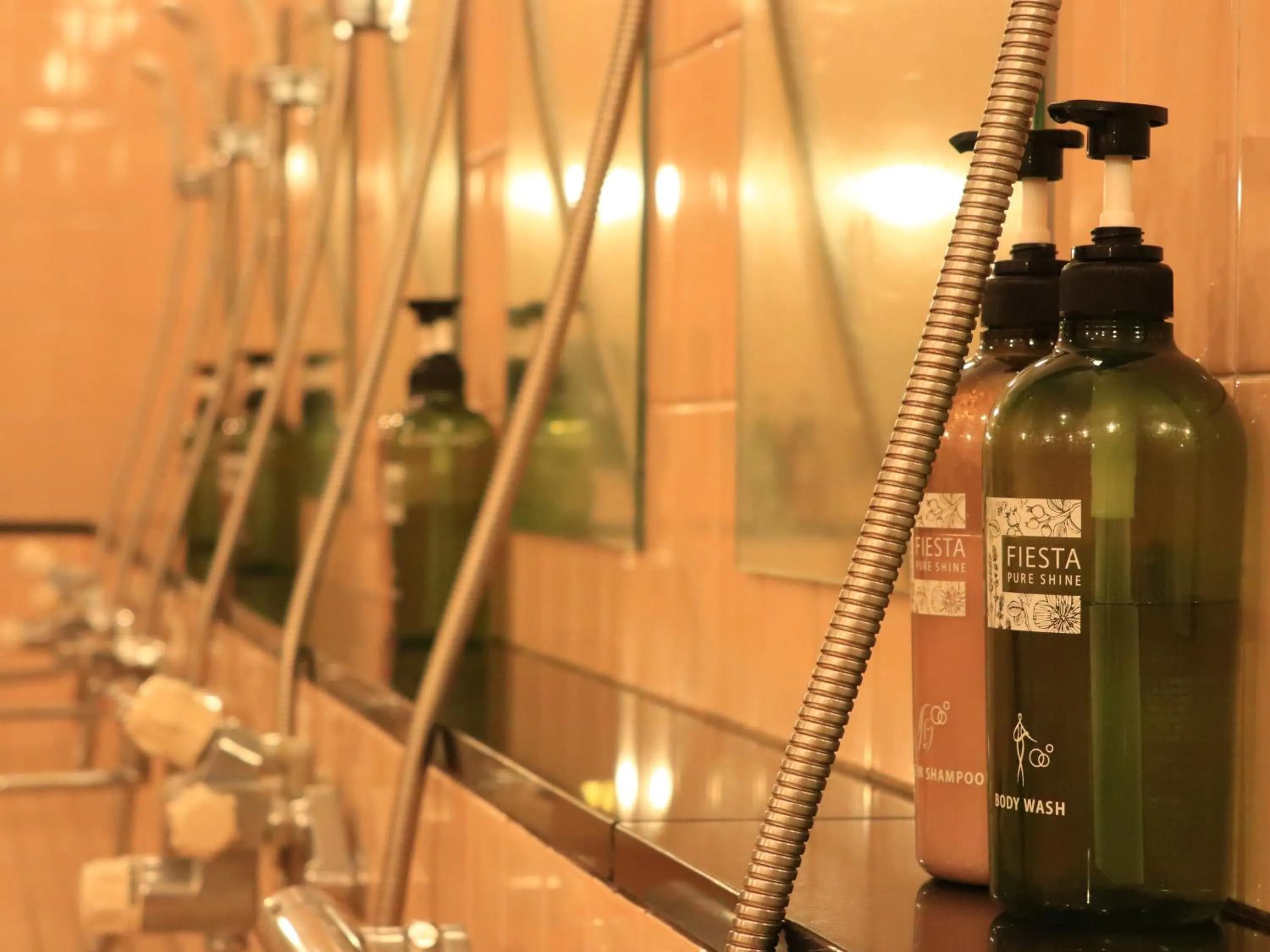 Public Bath in Izumiya Ryokan