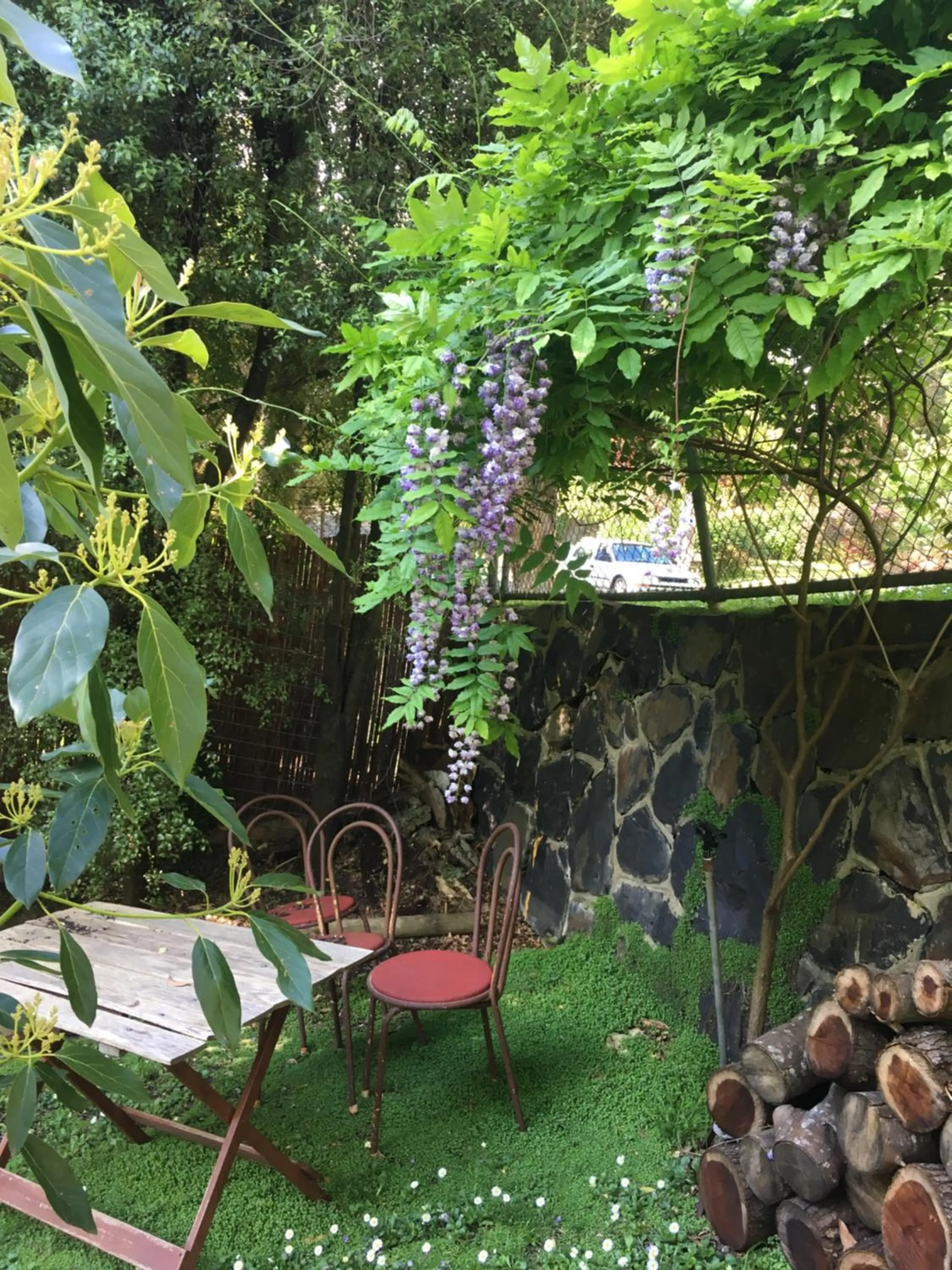 Garden in Stone's Throw Cottage Bed and Breakfast