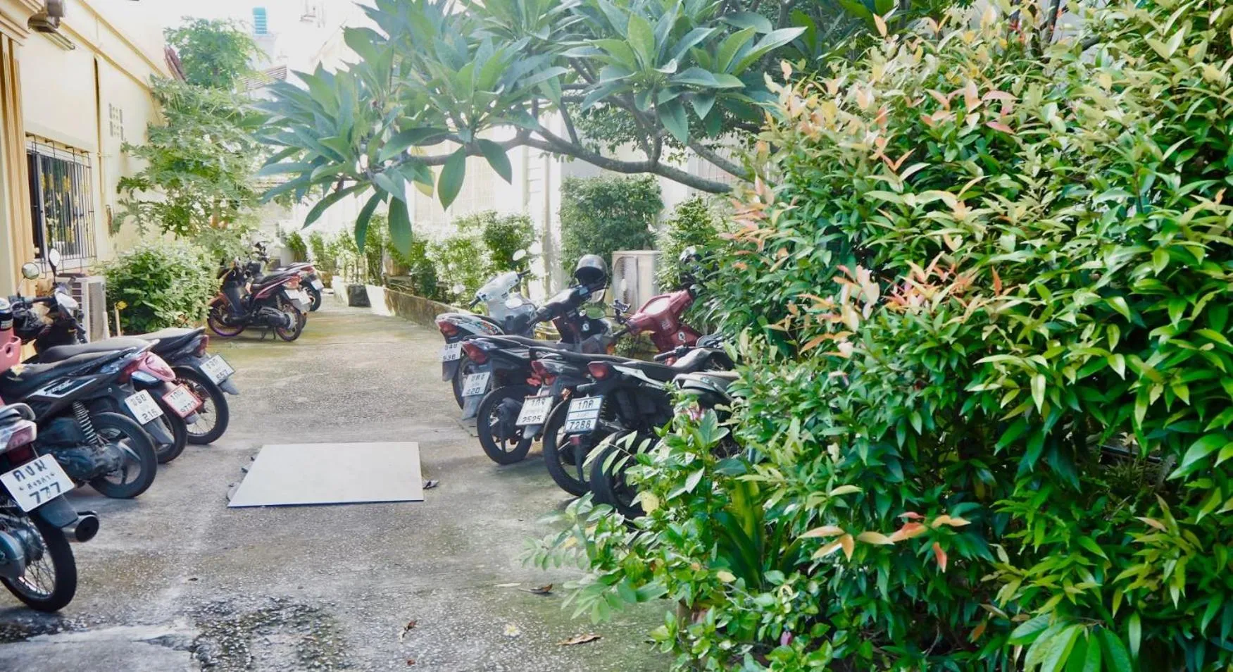 Property building in Orm Thong Hotel - SHA Plus